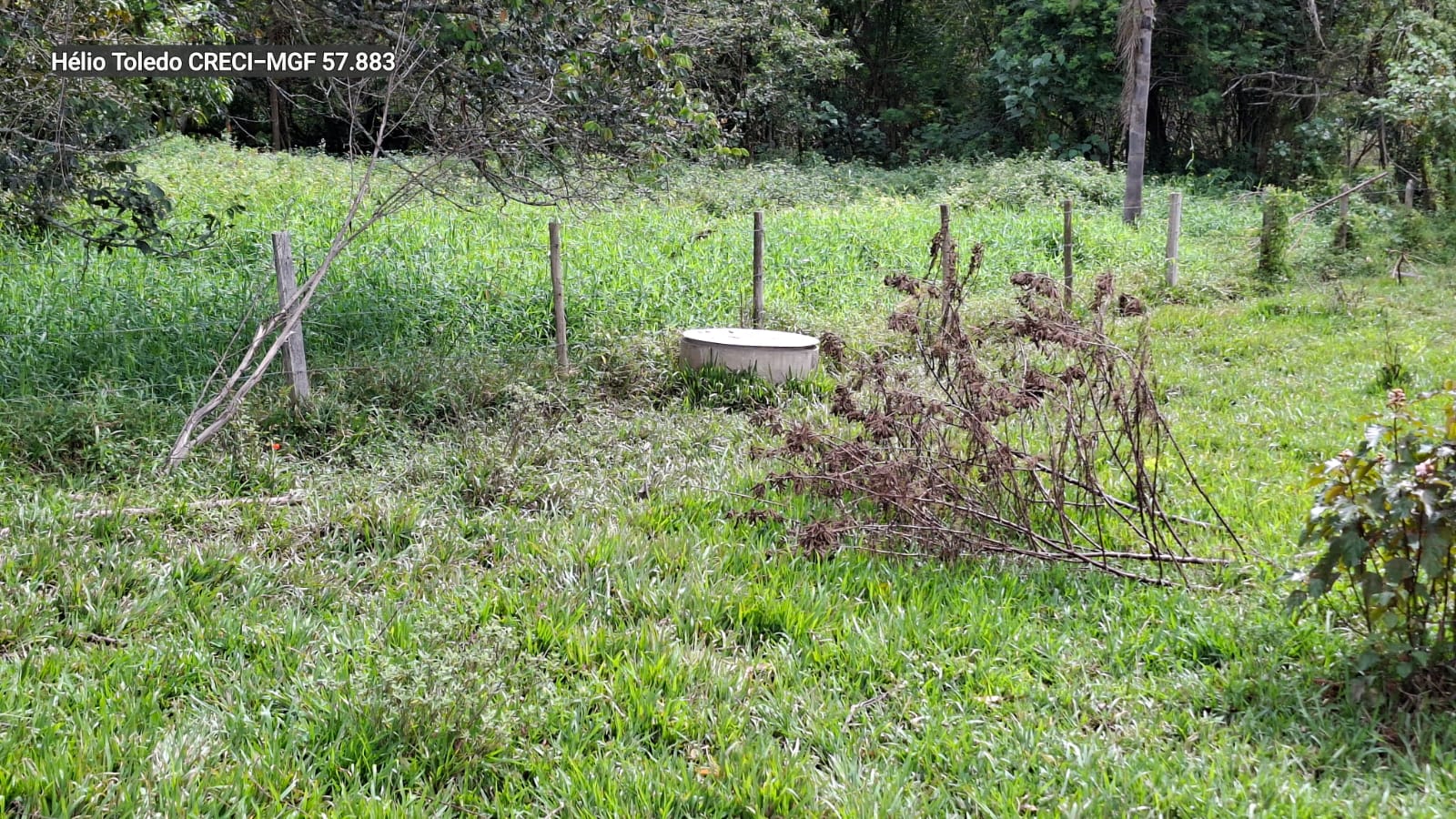 inbound25729618970263969