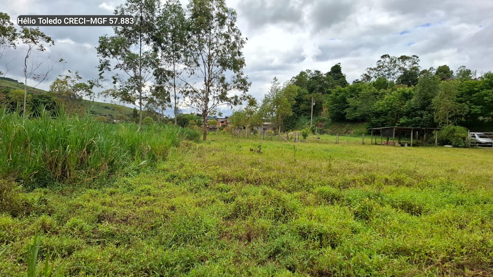 inbound3973260879035168855