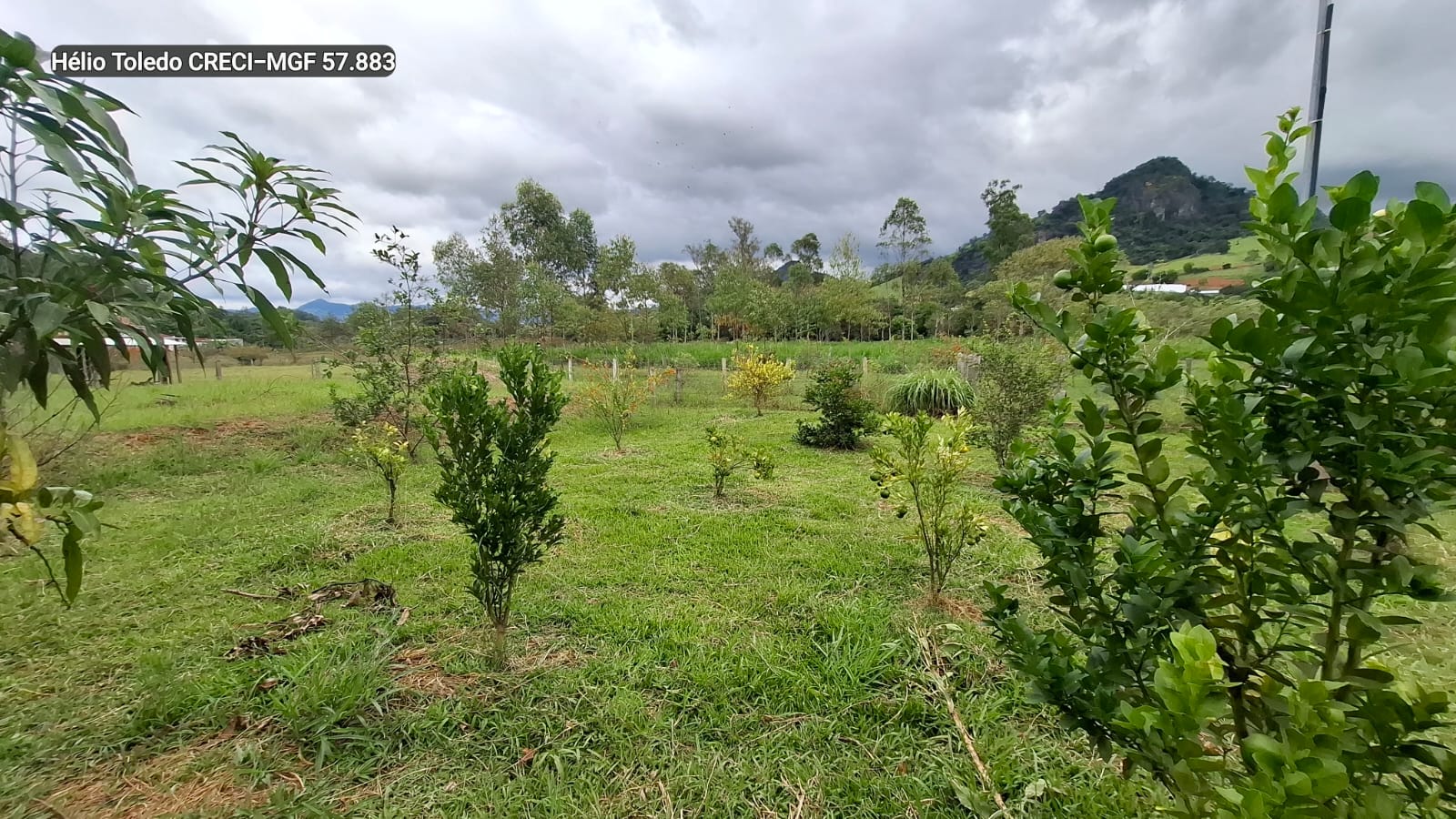 inbound4433465415331520382