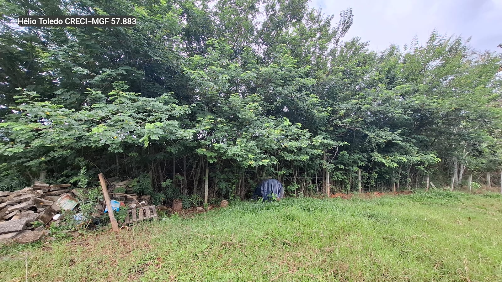 inbound6083007941732385231