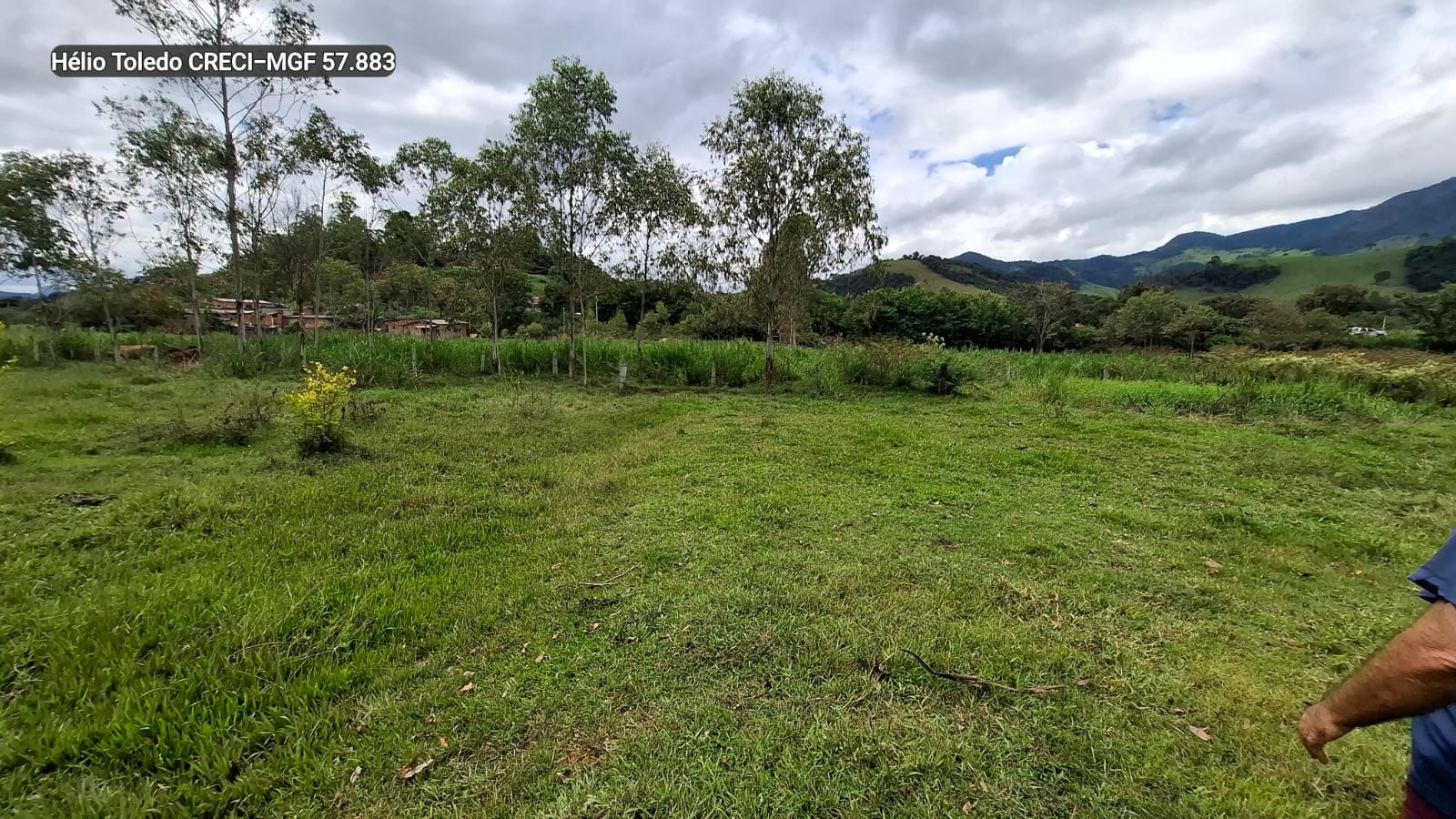 inbound7253104015078368441