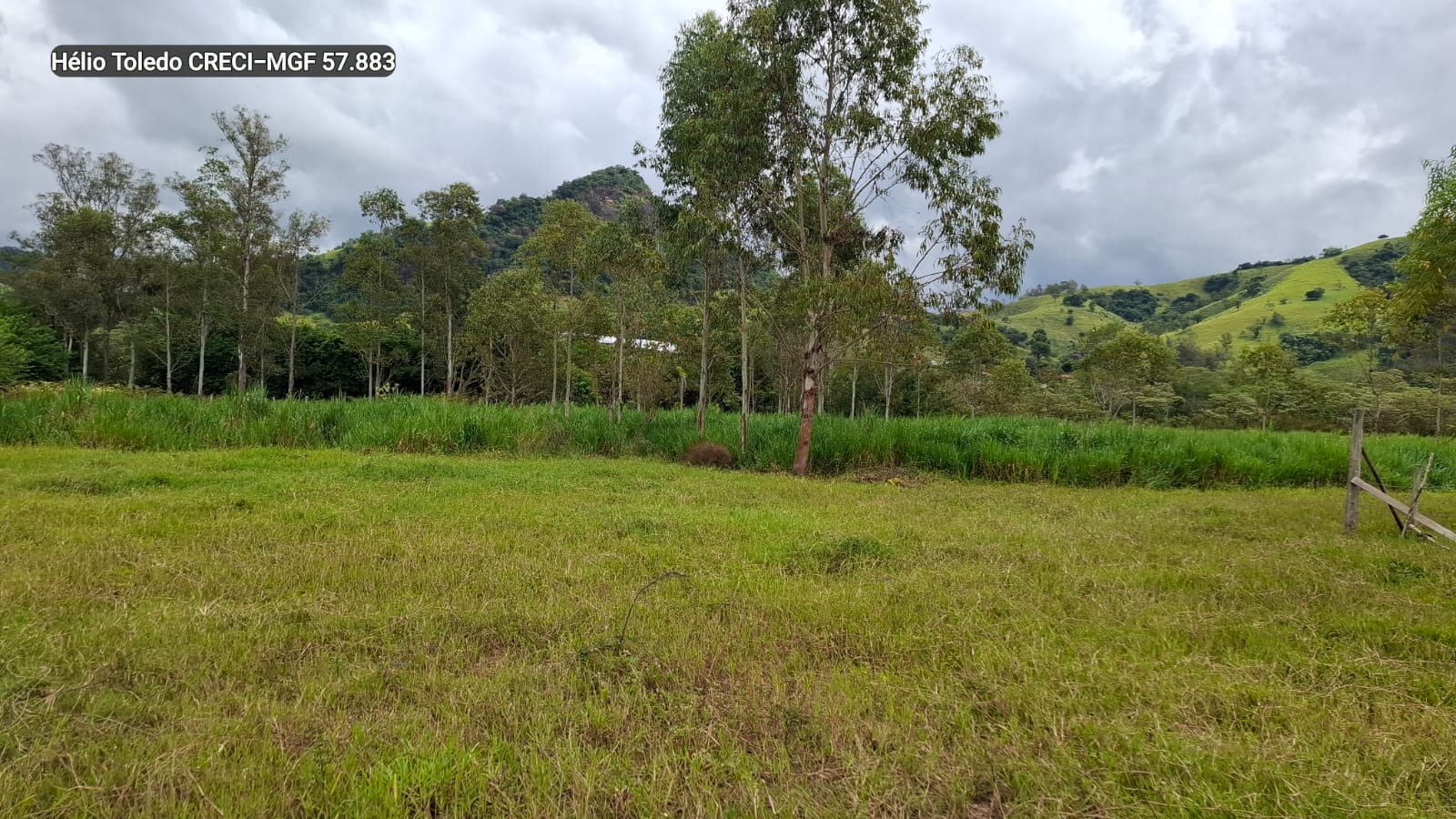 inbound8313976909739765275