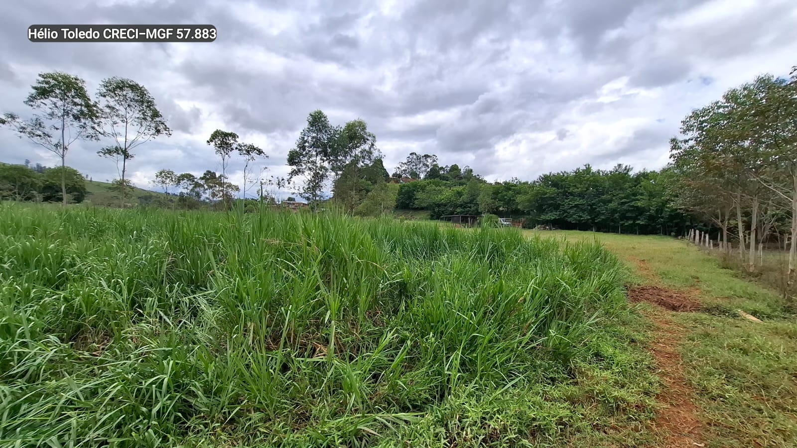 inbound8974945980042424272