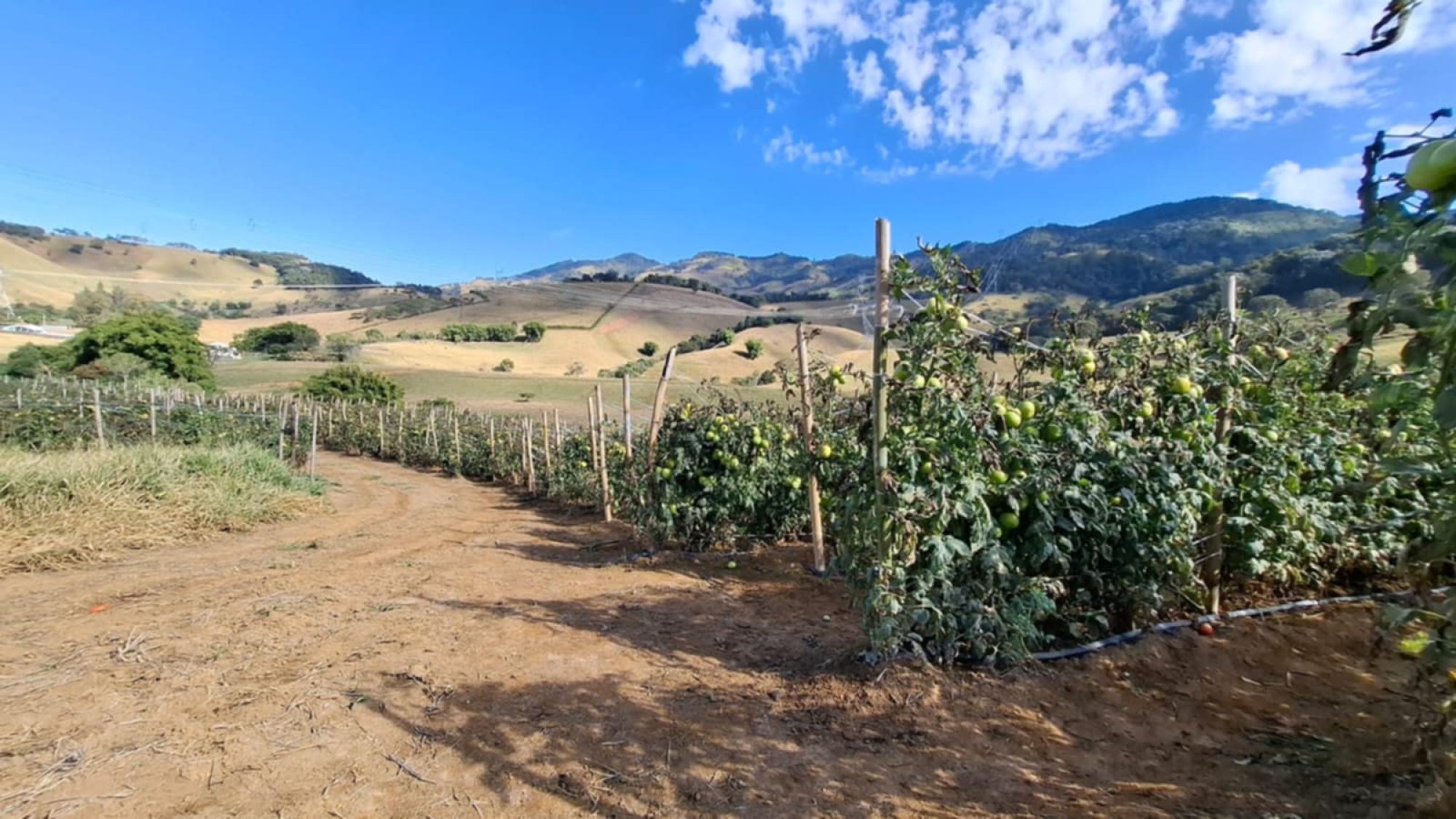 Messenger_creation_4FA5FACF-1CE3-4F22-AEE4-9814F845BA65