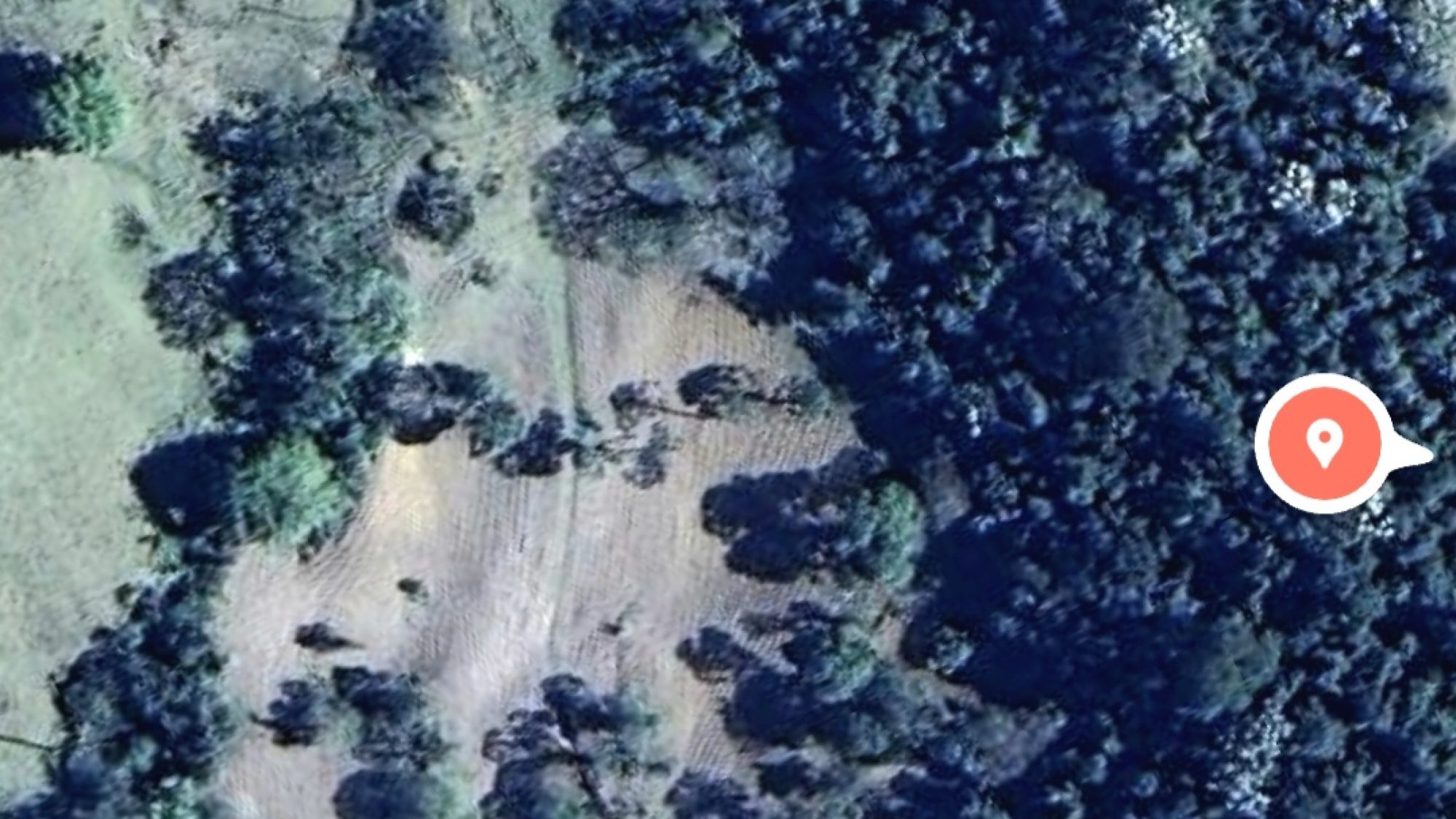 inbound1106093390601295082