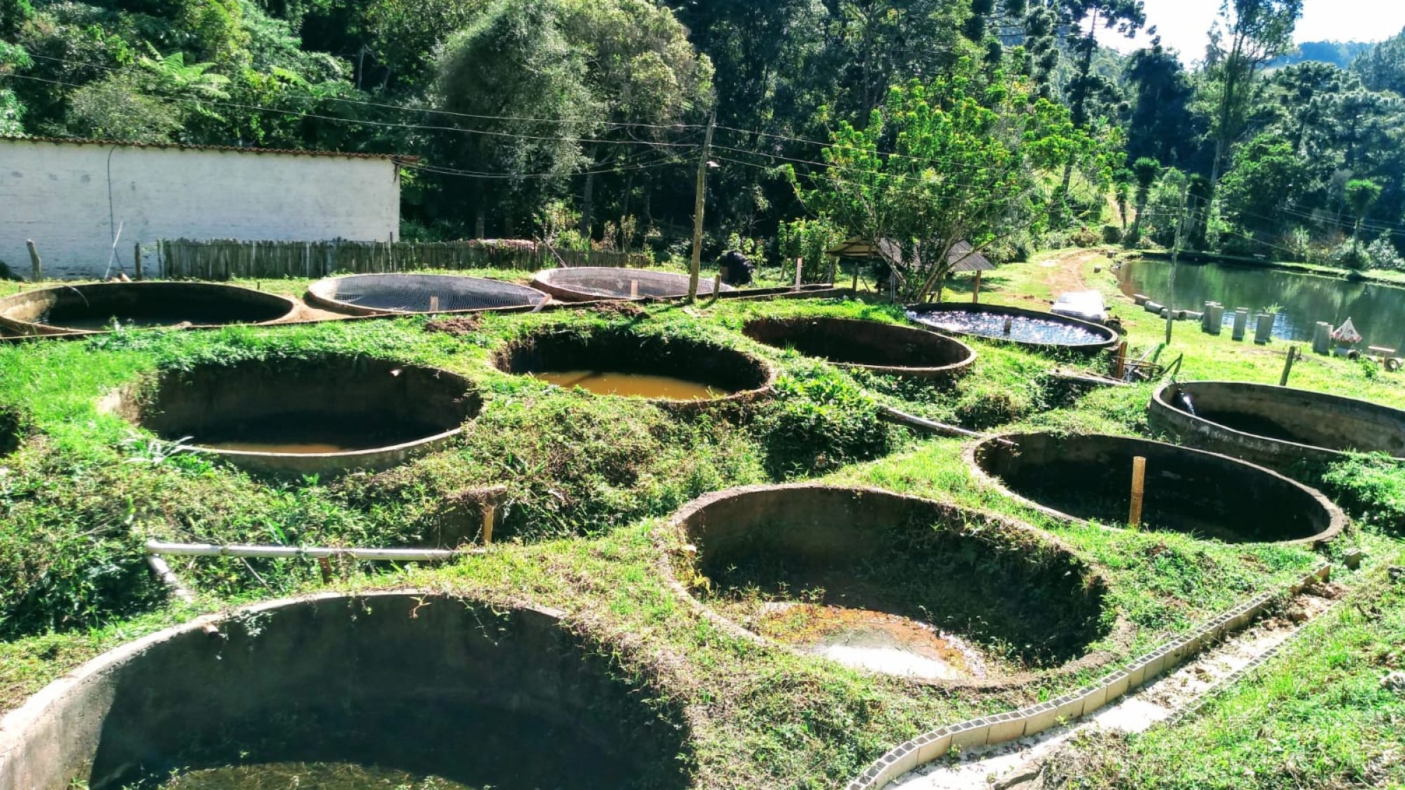 inbound1129556006556758256