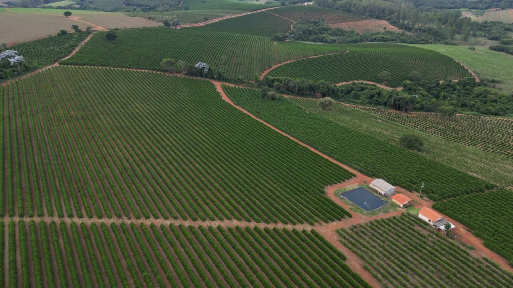 inbound1144260373363735552