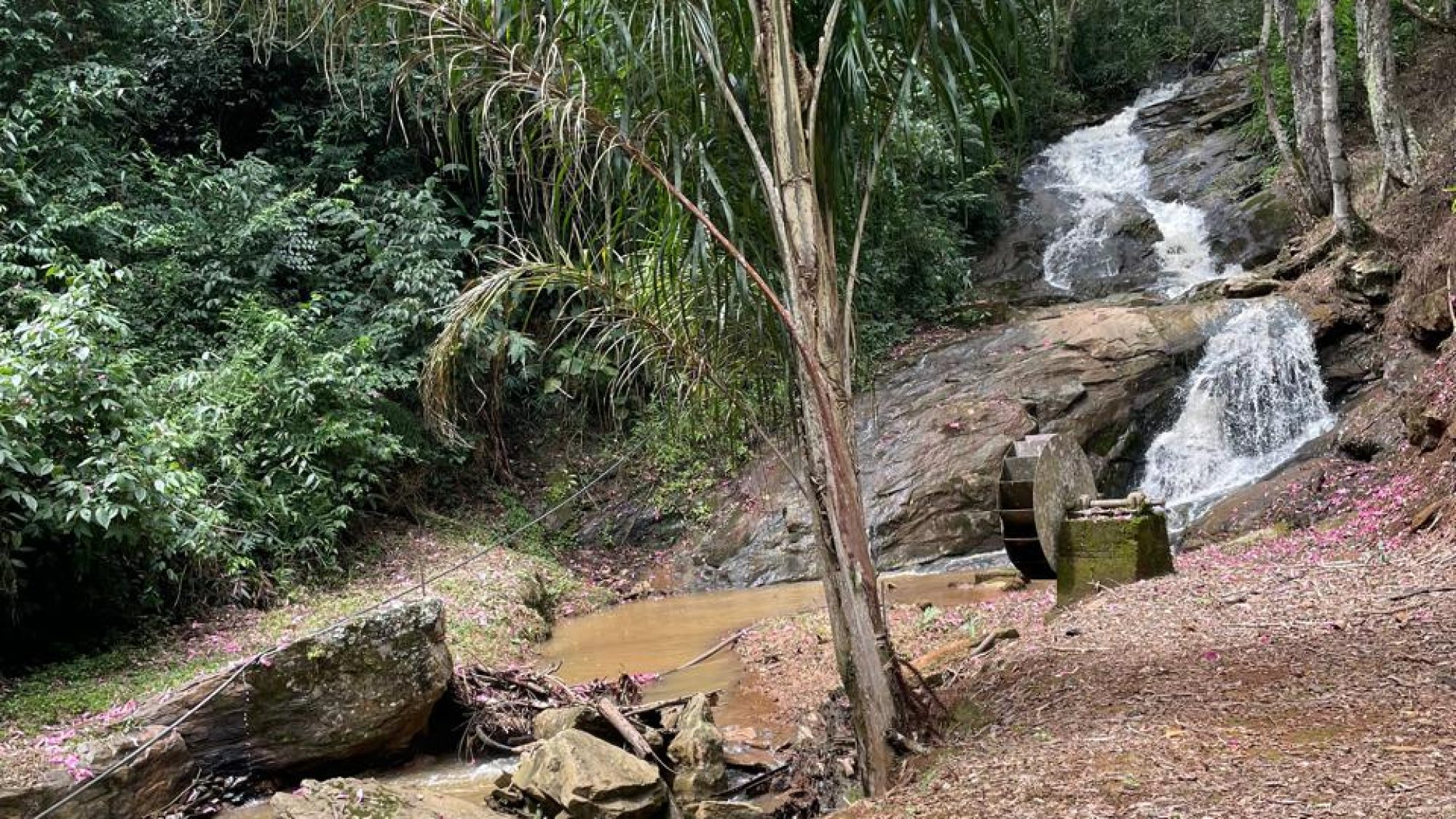 inbound1451802304188957440