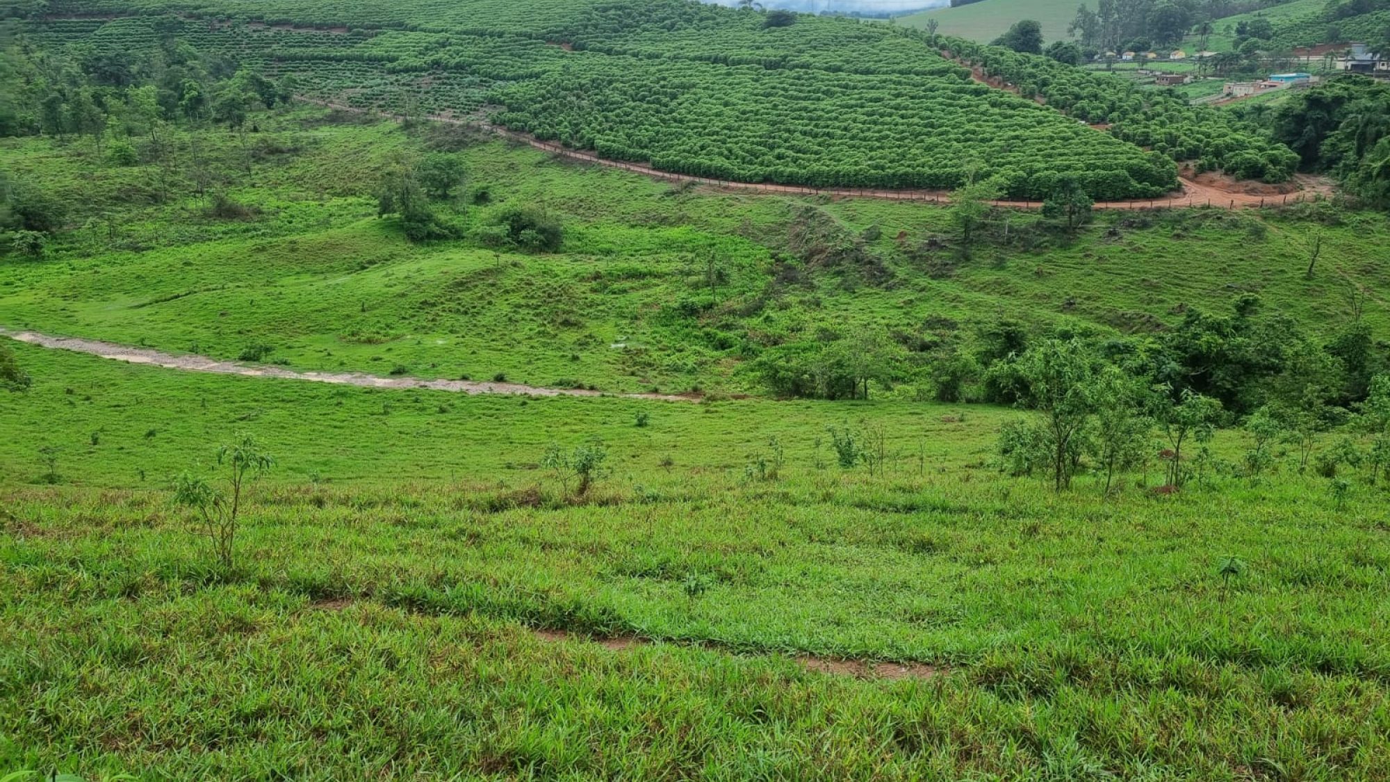 inbound1468902644037120016