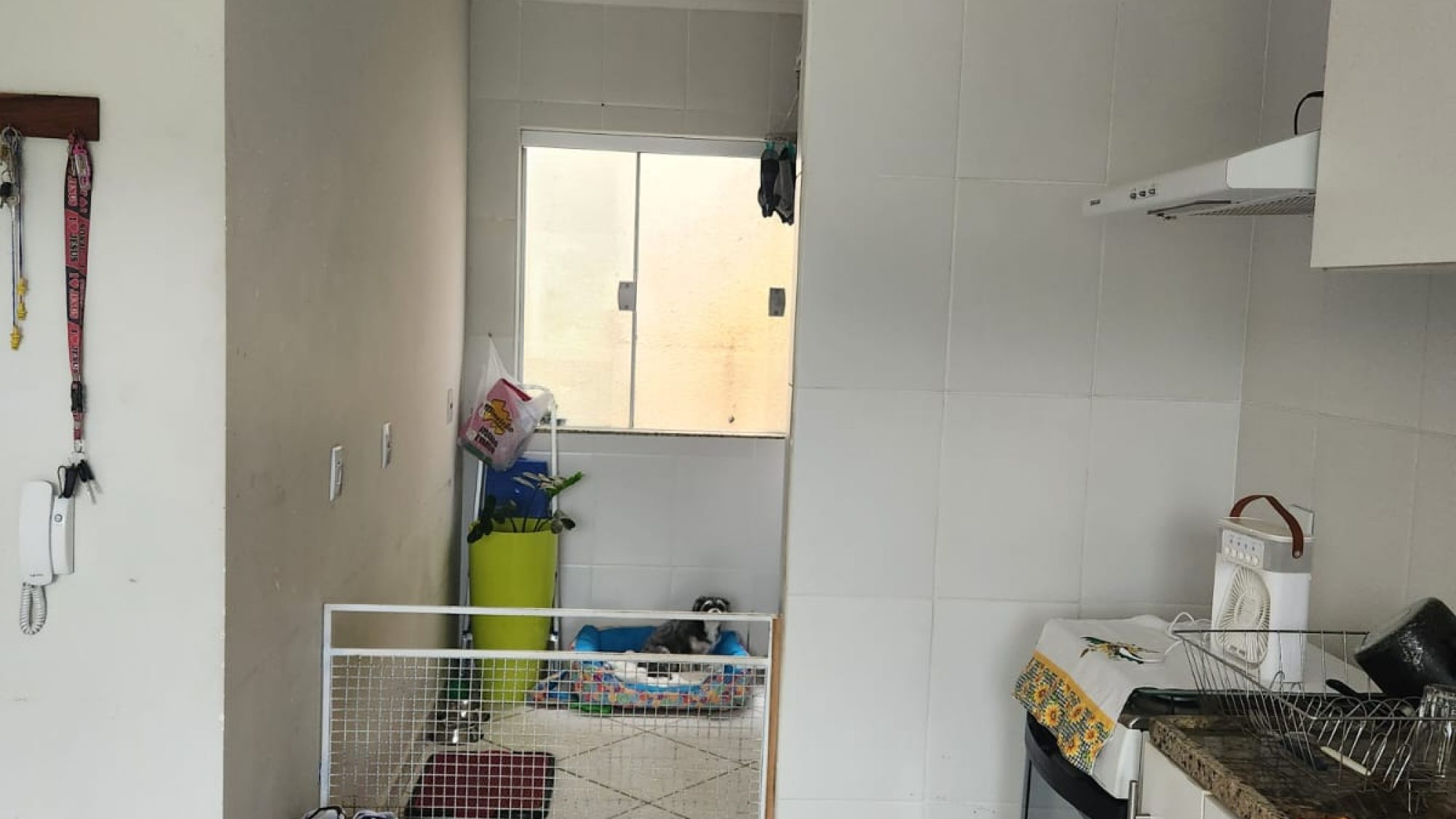 inbound1569597271868405618