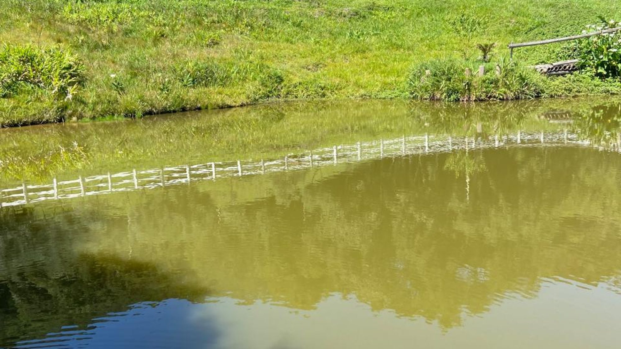 inbound1569925595986382061