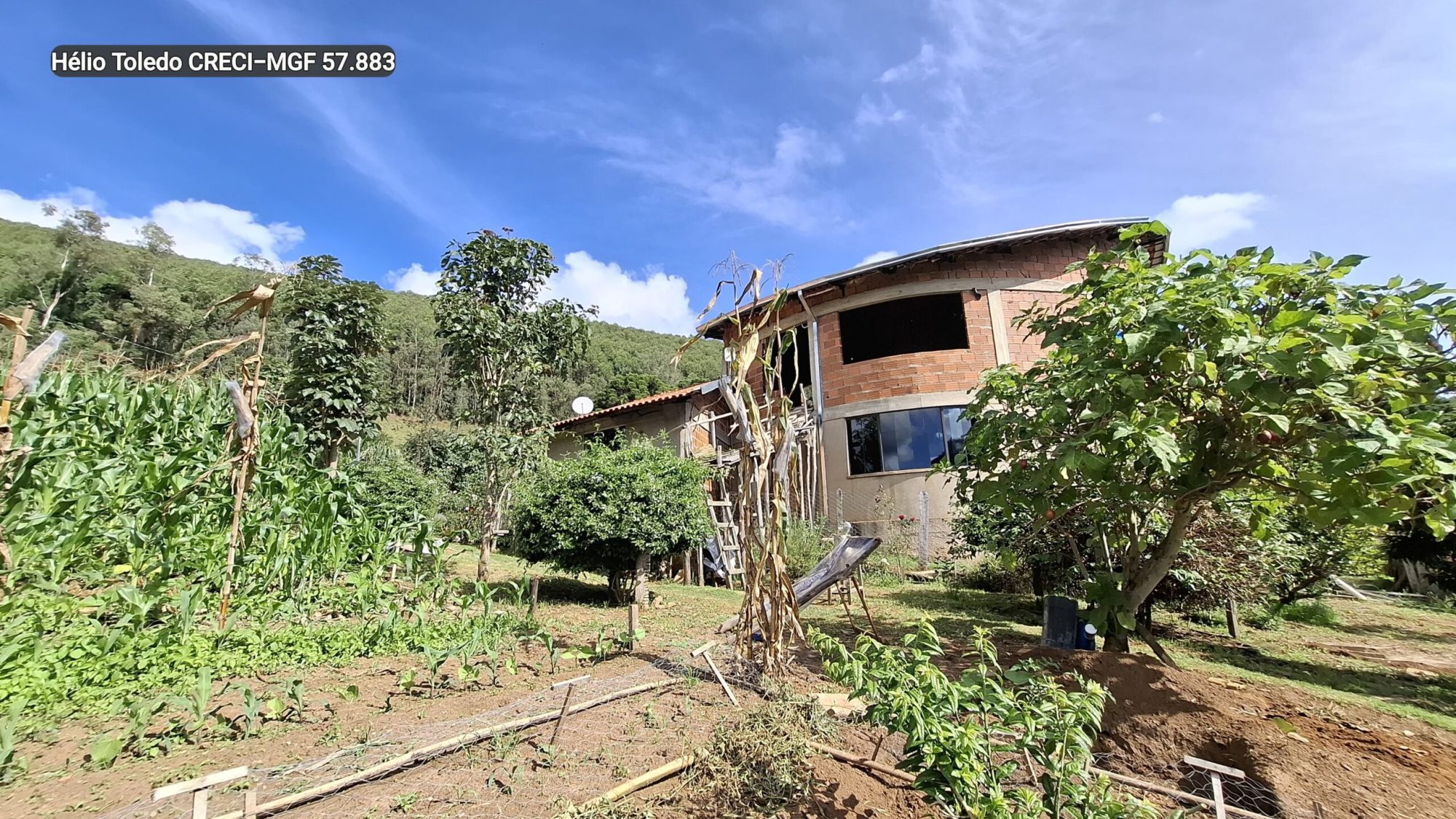 inbound1909681341091621077