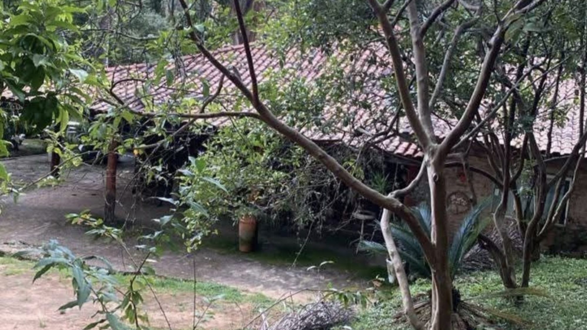 inbound1937998837060438896