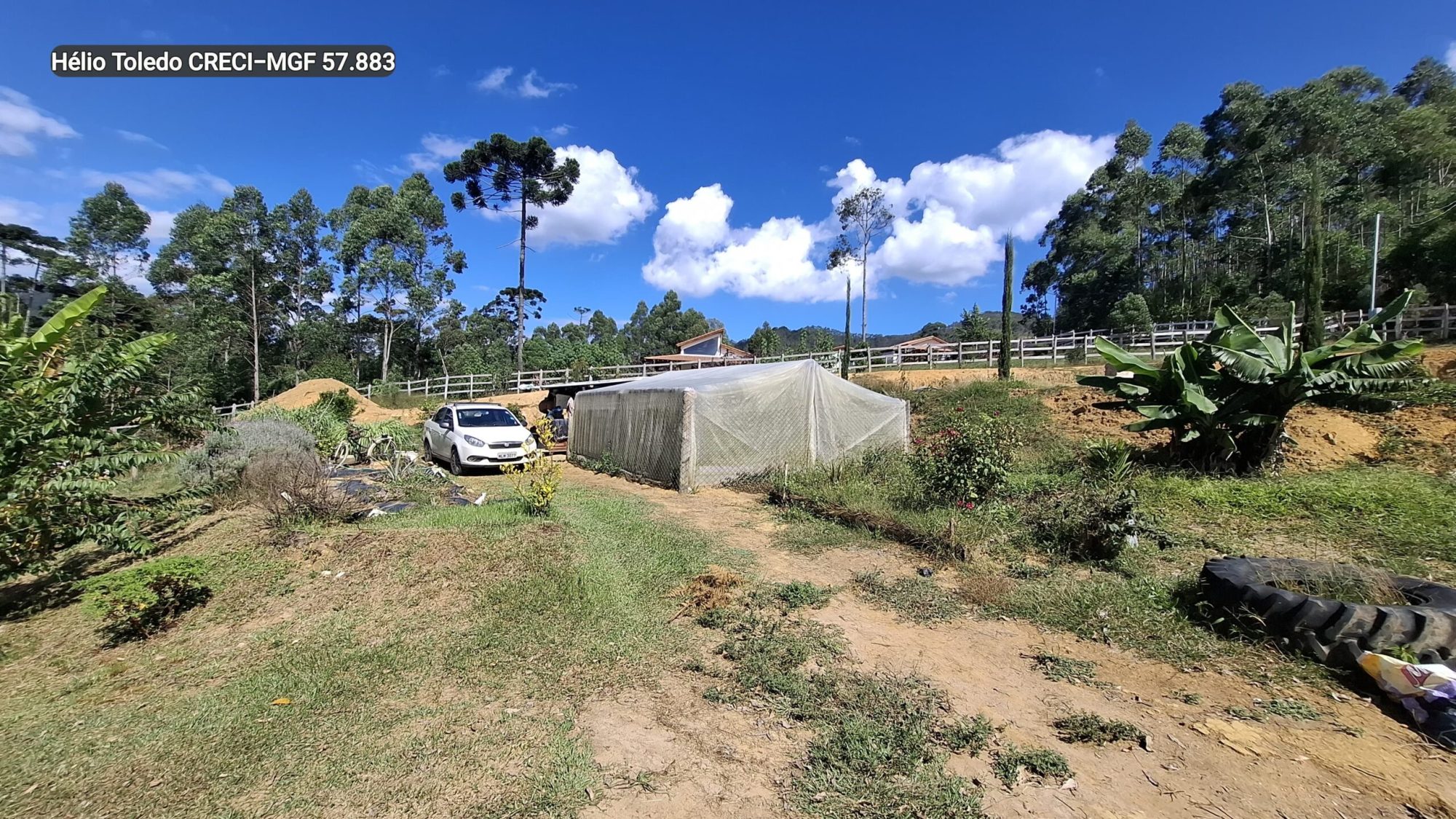 inbound2010267721817299307