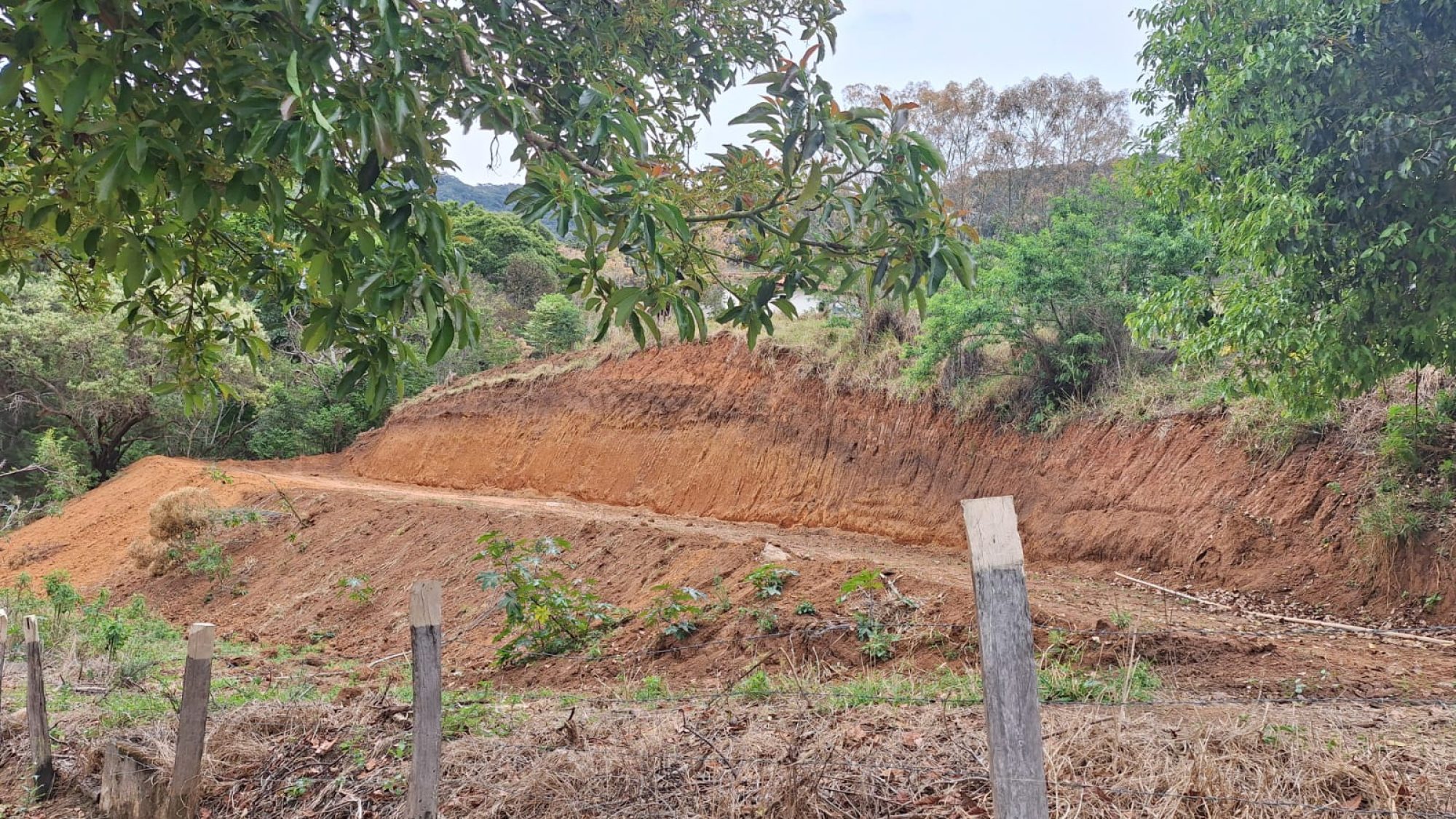 inbound2169794676830421869