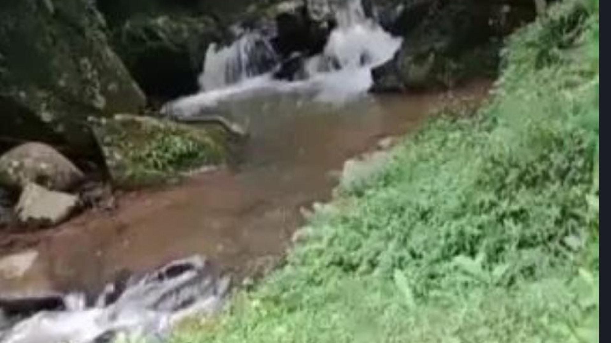 inbound2596606012537114306