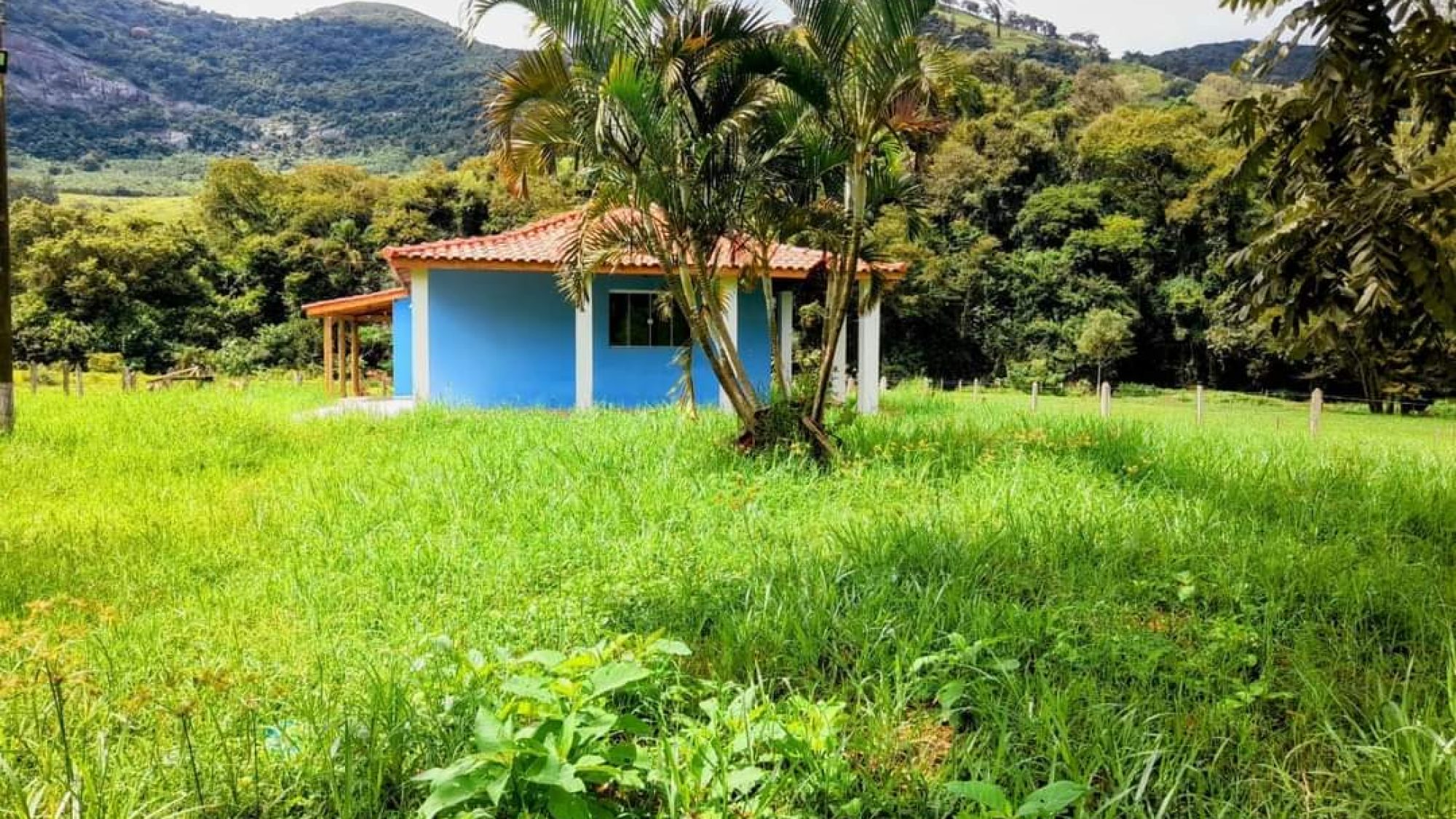 inbound2780851004425097213