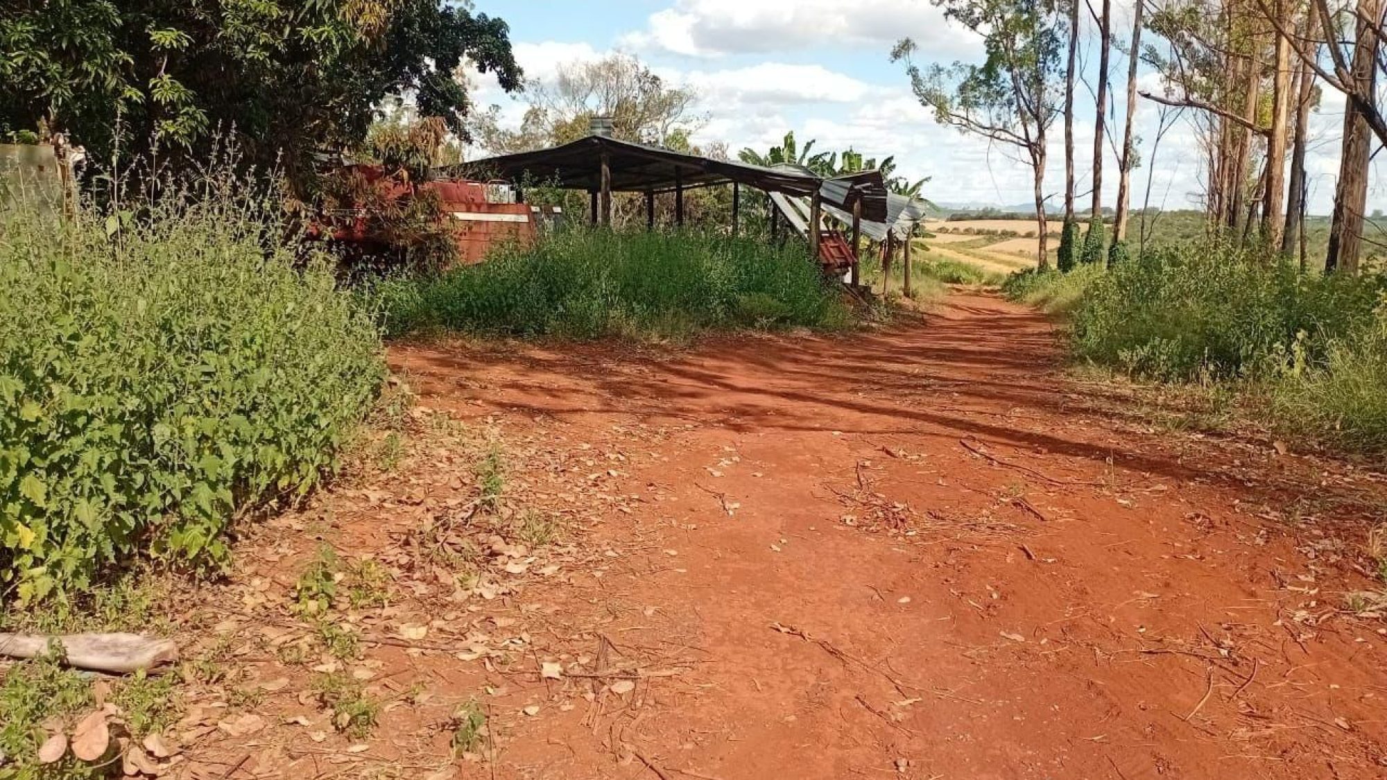 inbound2789549716999758383