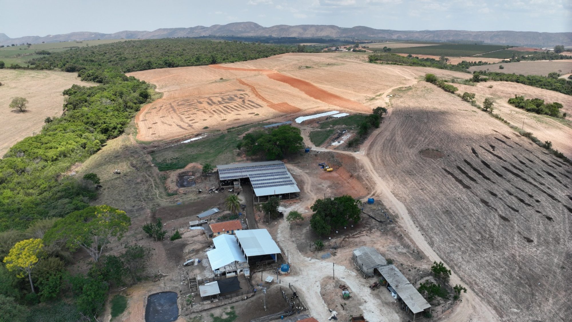 inbound2816109059386364816