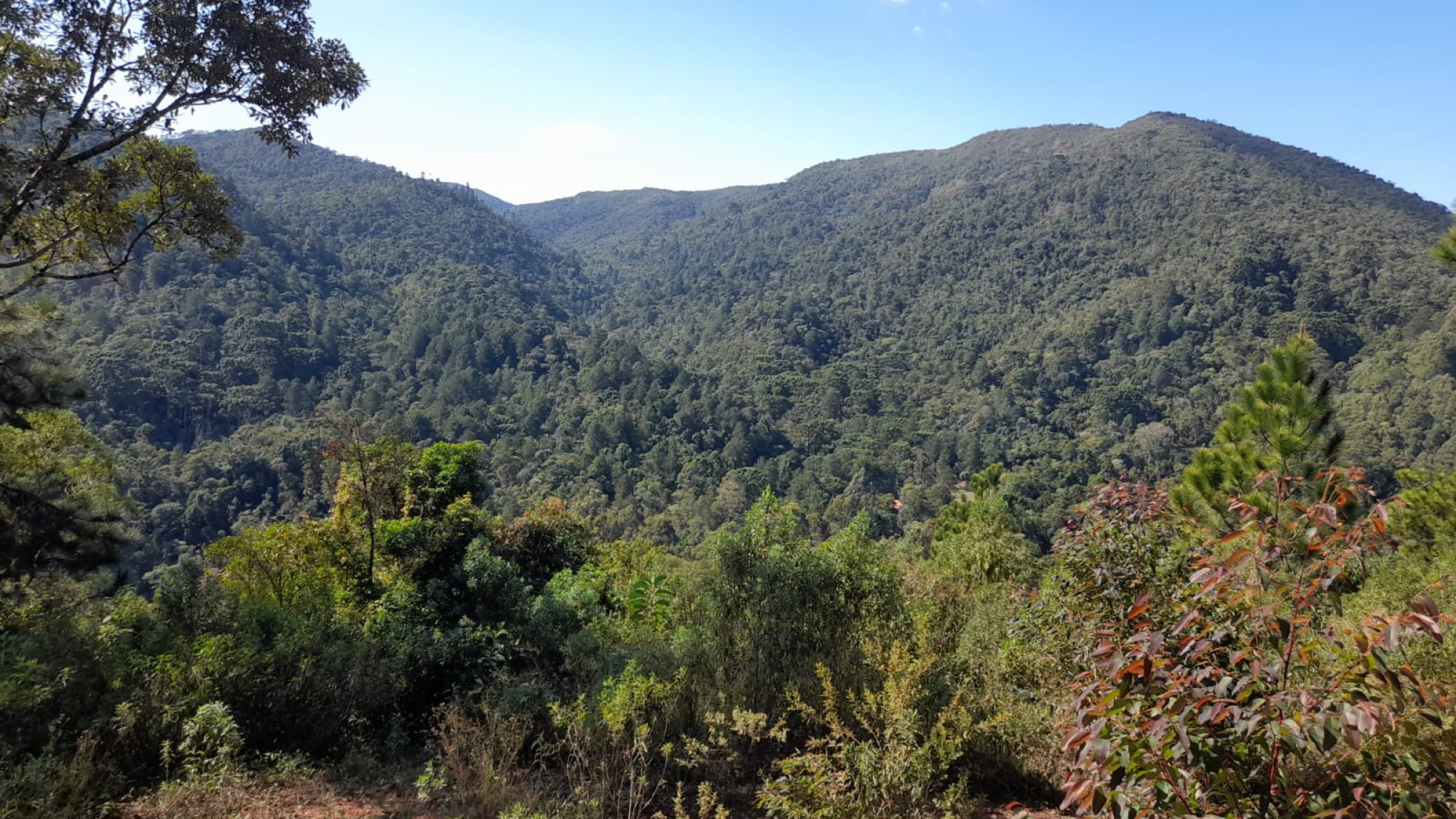 inbound2924473721734039677