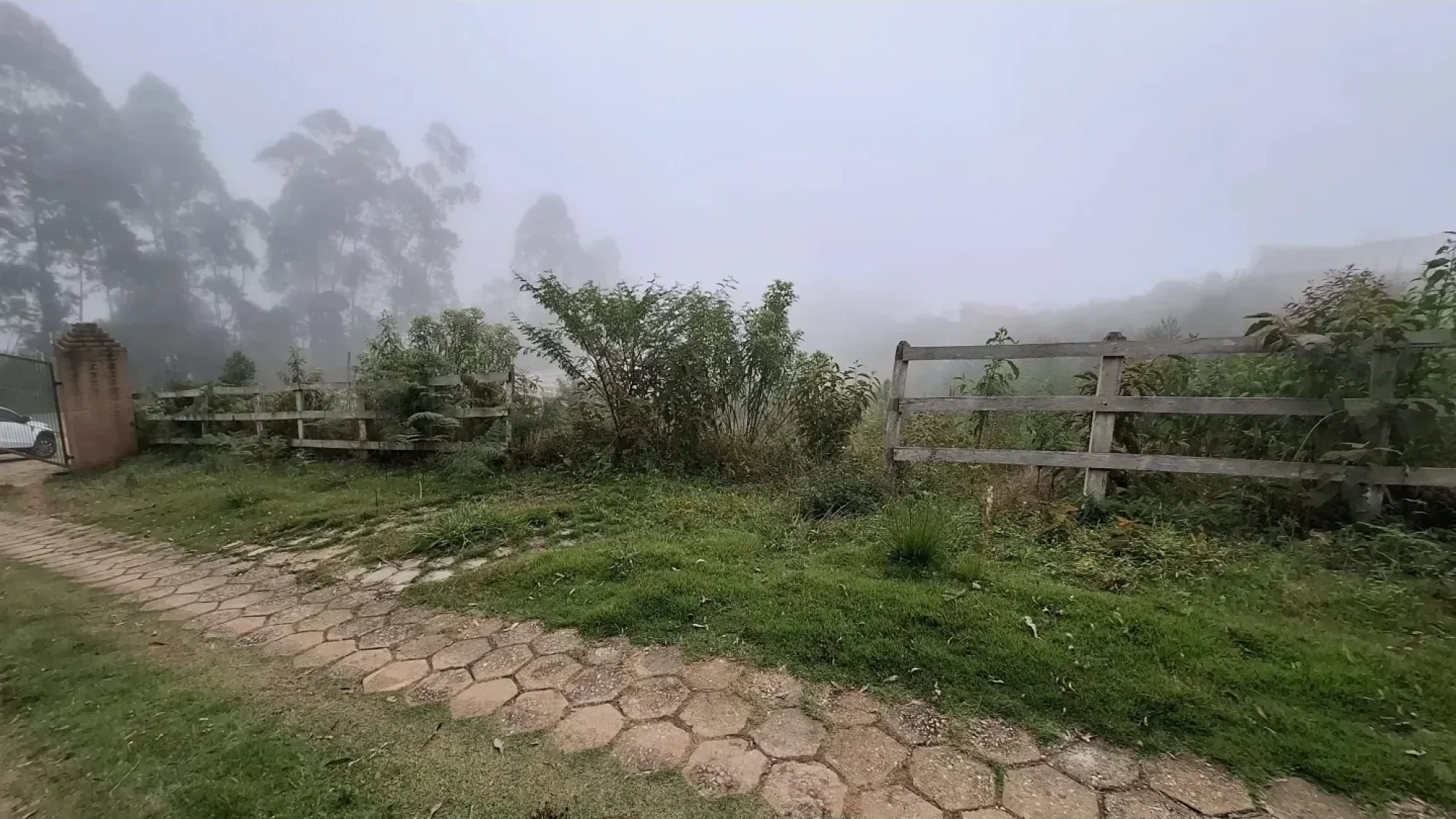 inbound2932603401778358982