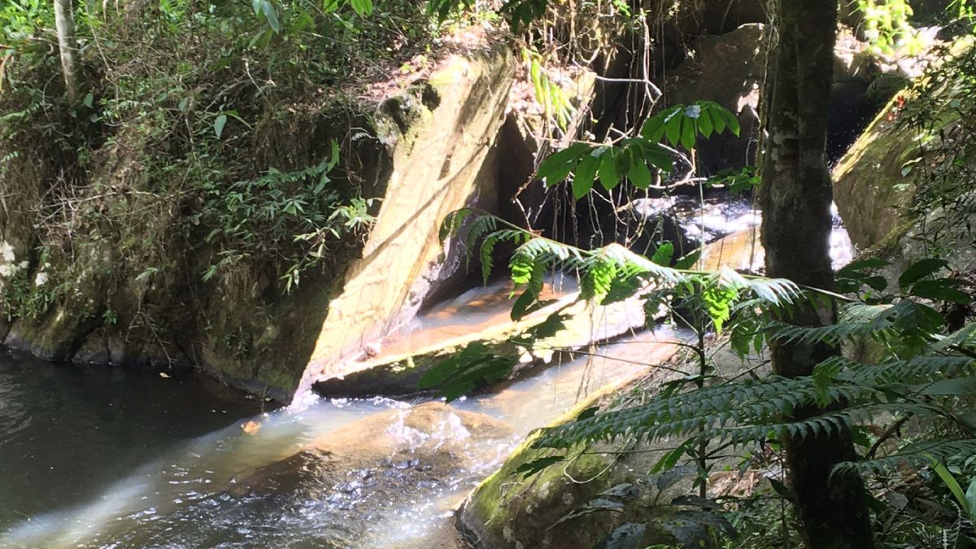 inbound3057776610354427706