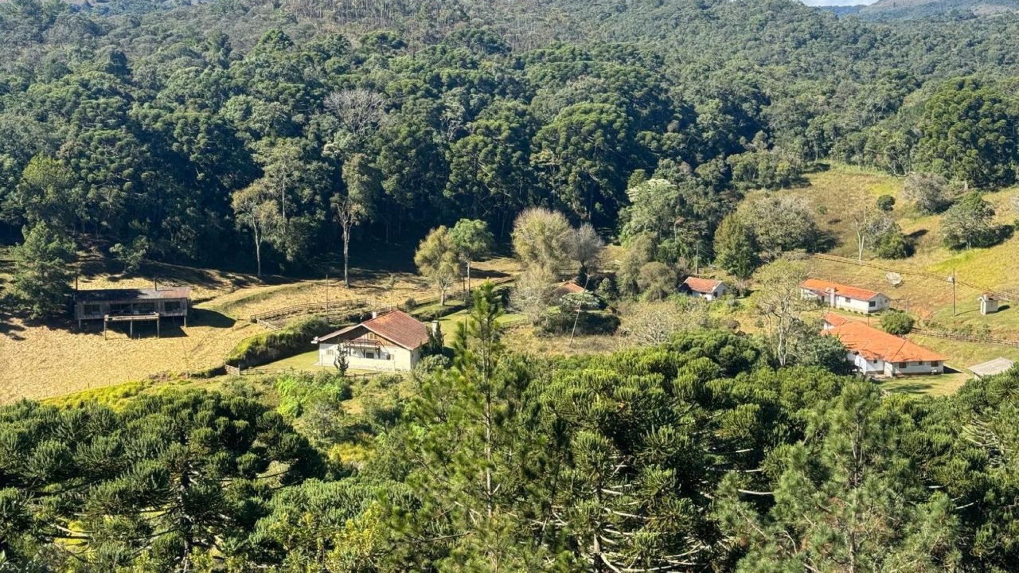 inbound3188332211889087291