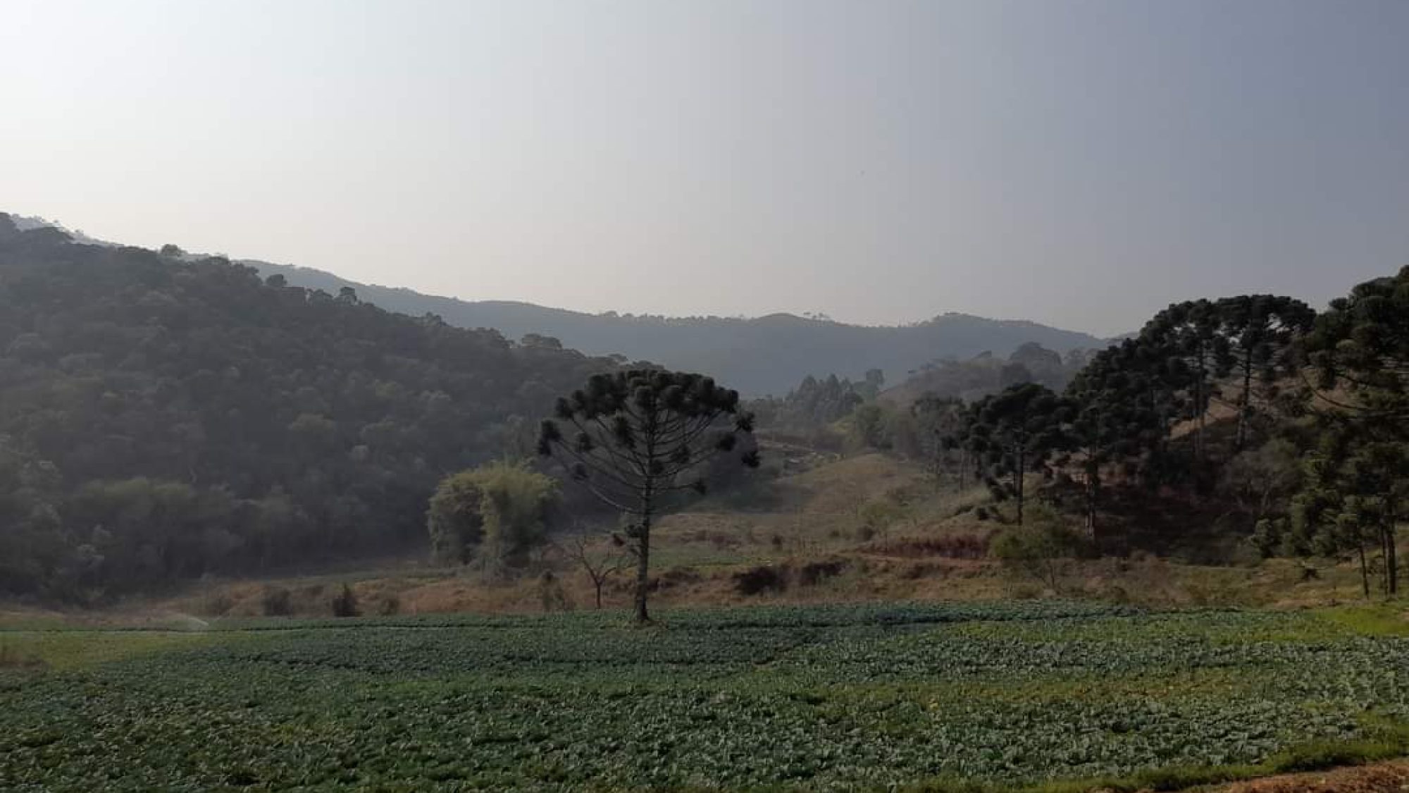 inbound341781747263999448