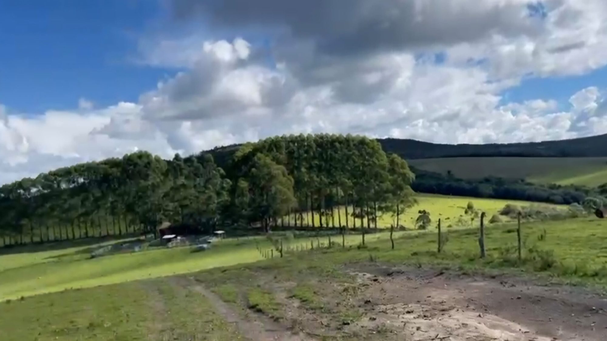 inbound3571407222672317916