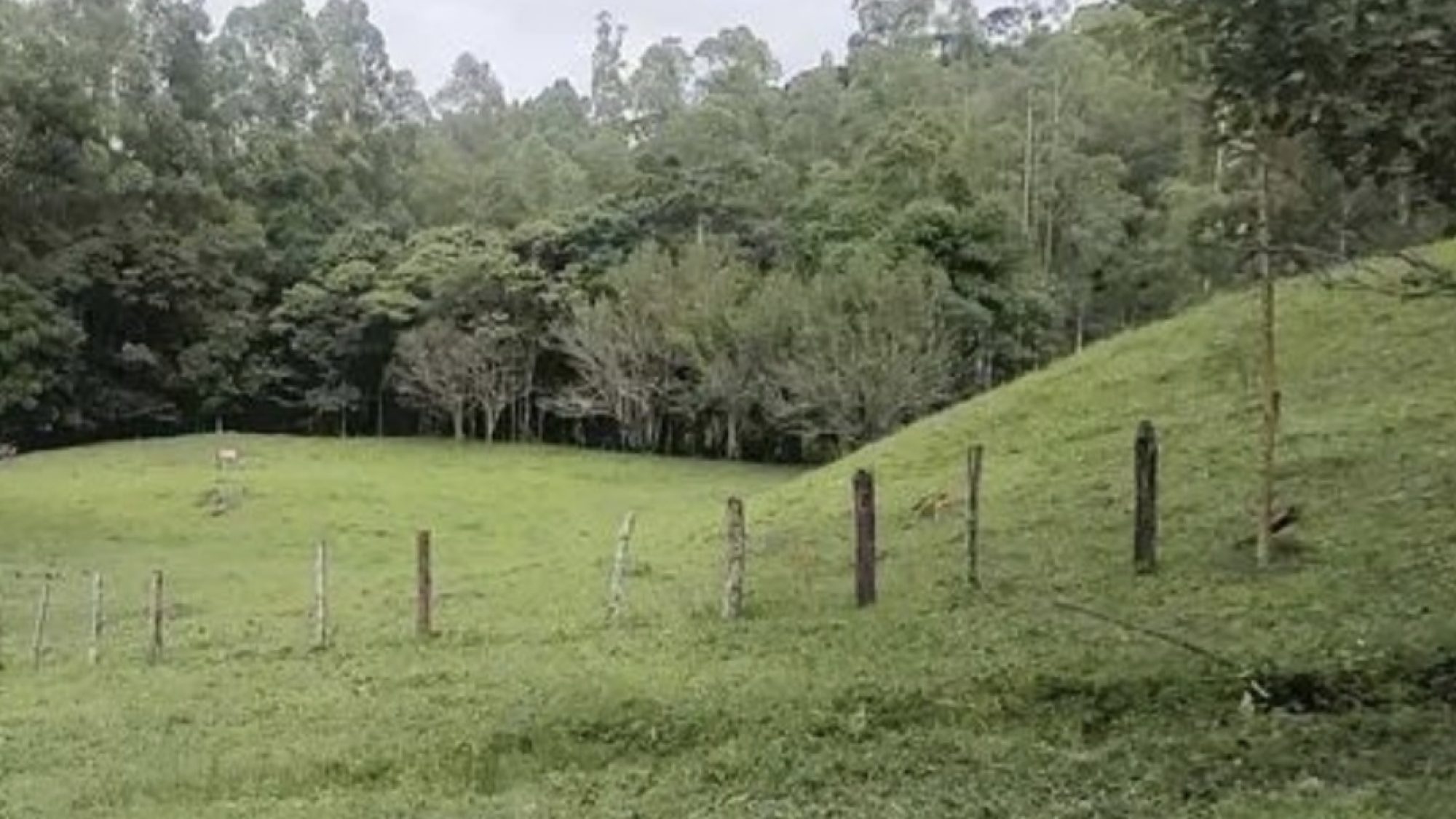 inbound3715876101338474106