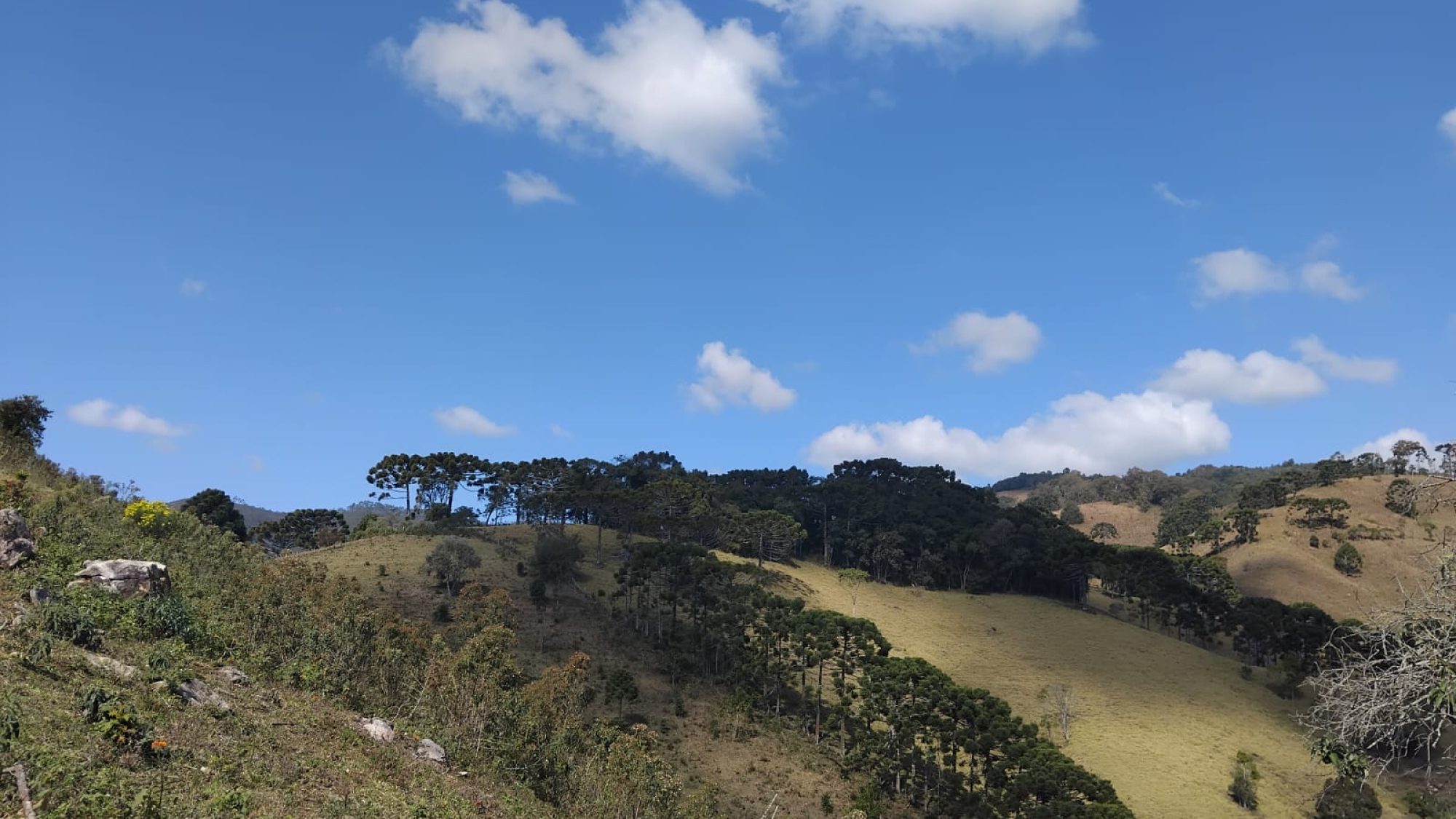 inbound3860516997933361732