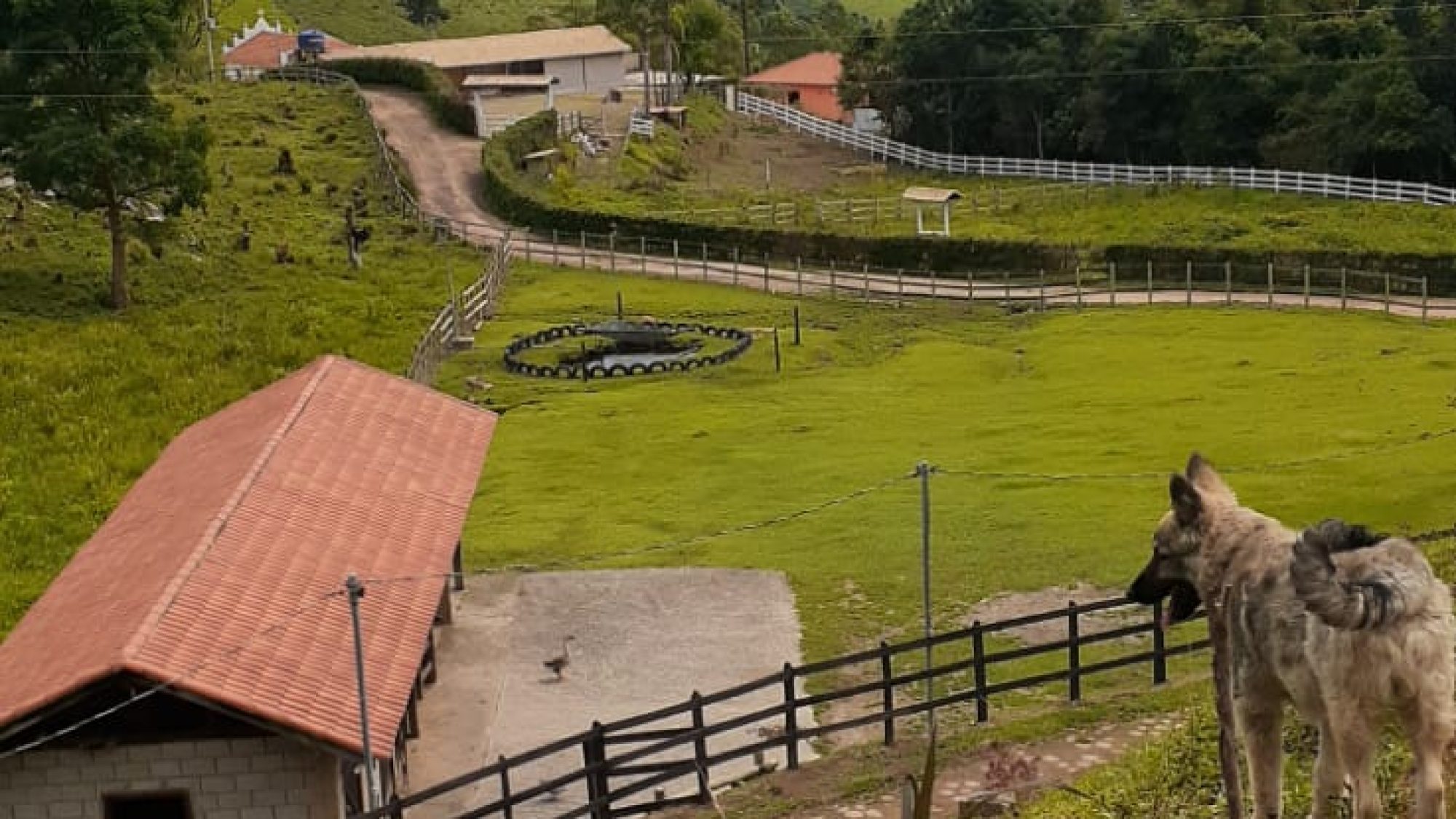 inbound4036079195169073559