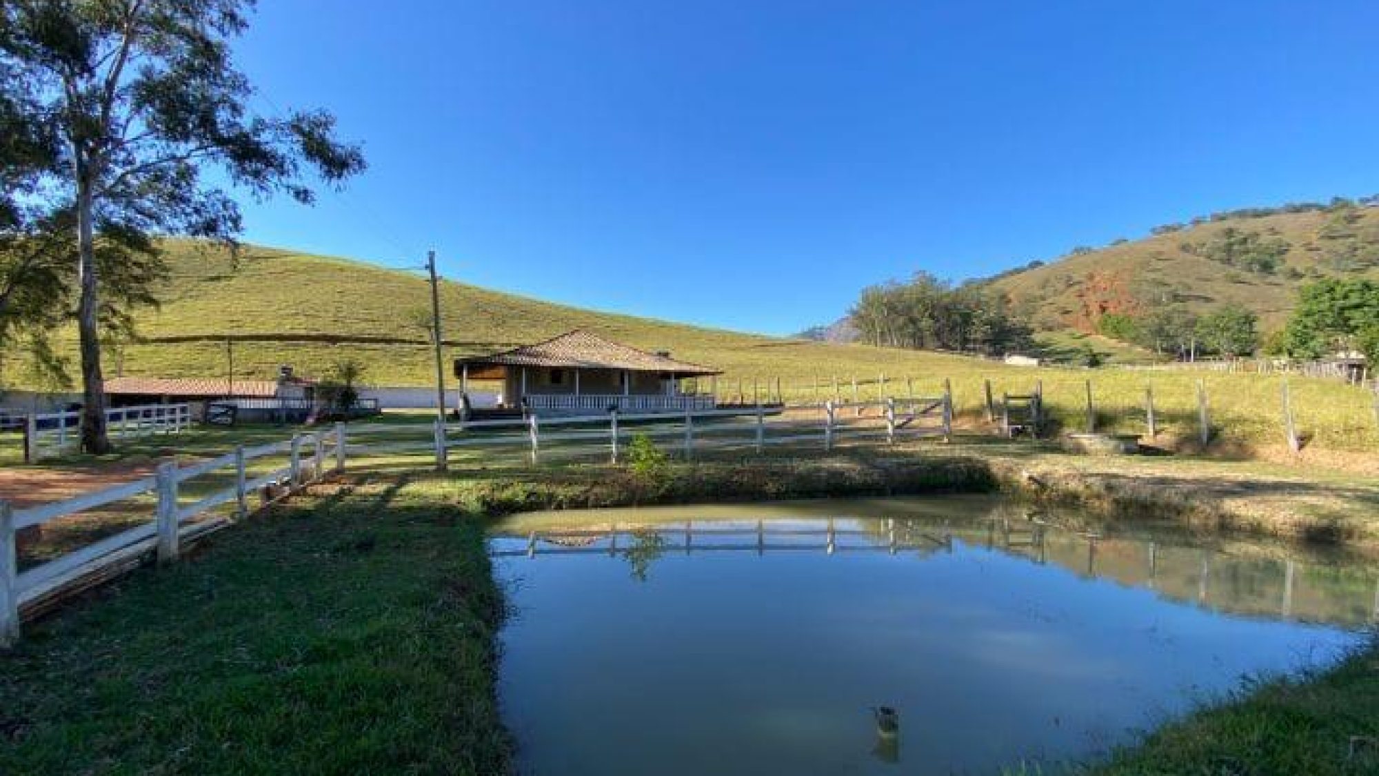 inbound4135142091759321944