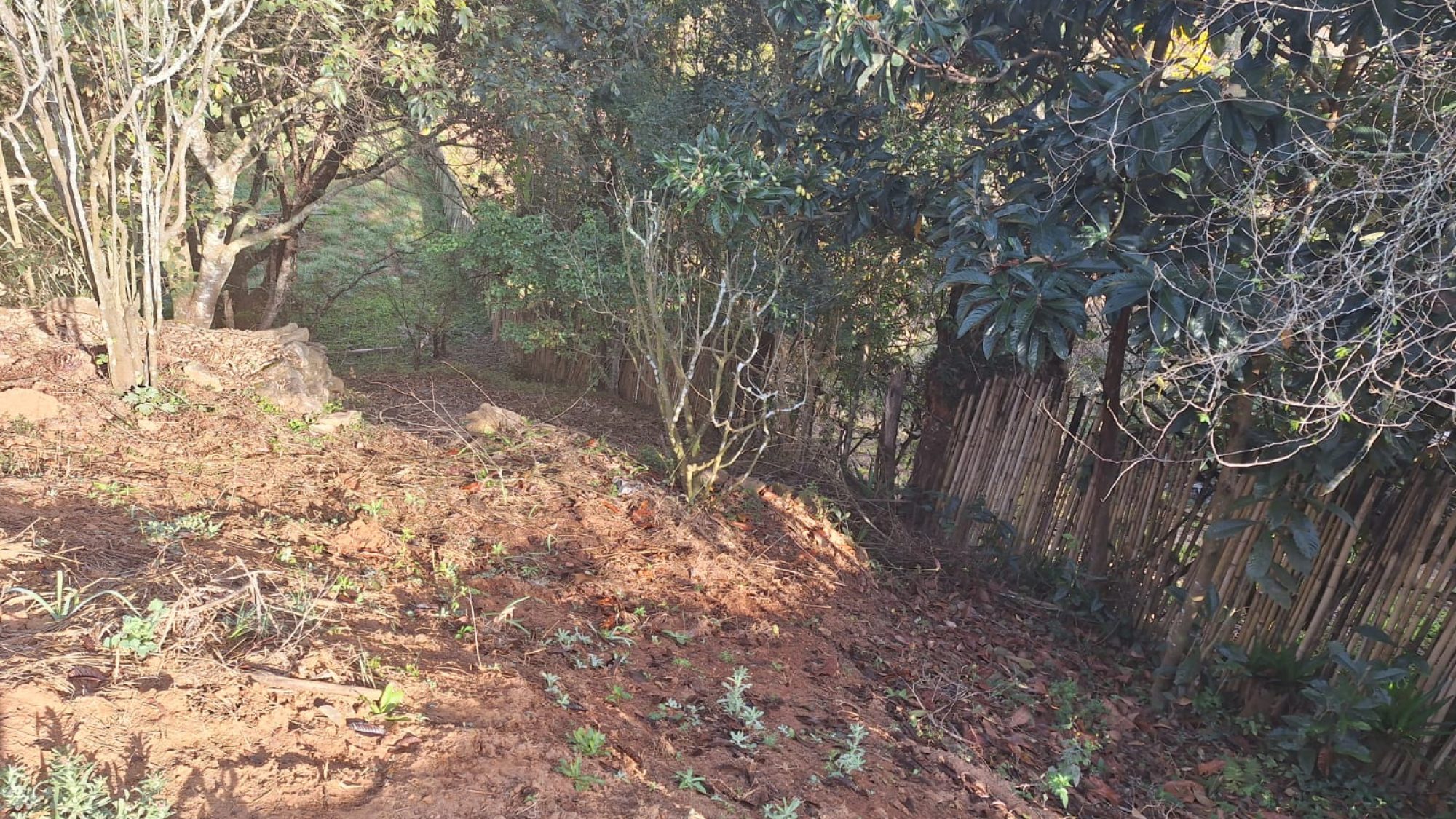 inbound4151622504998234032