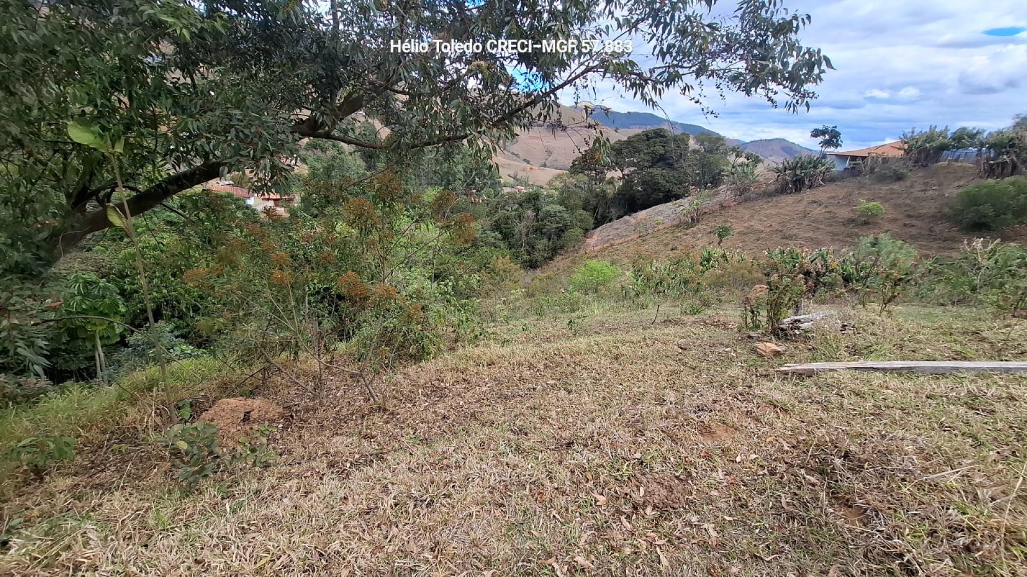 inbound4155517461146295185