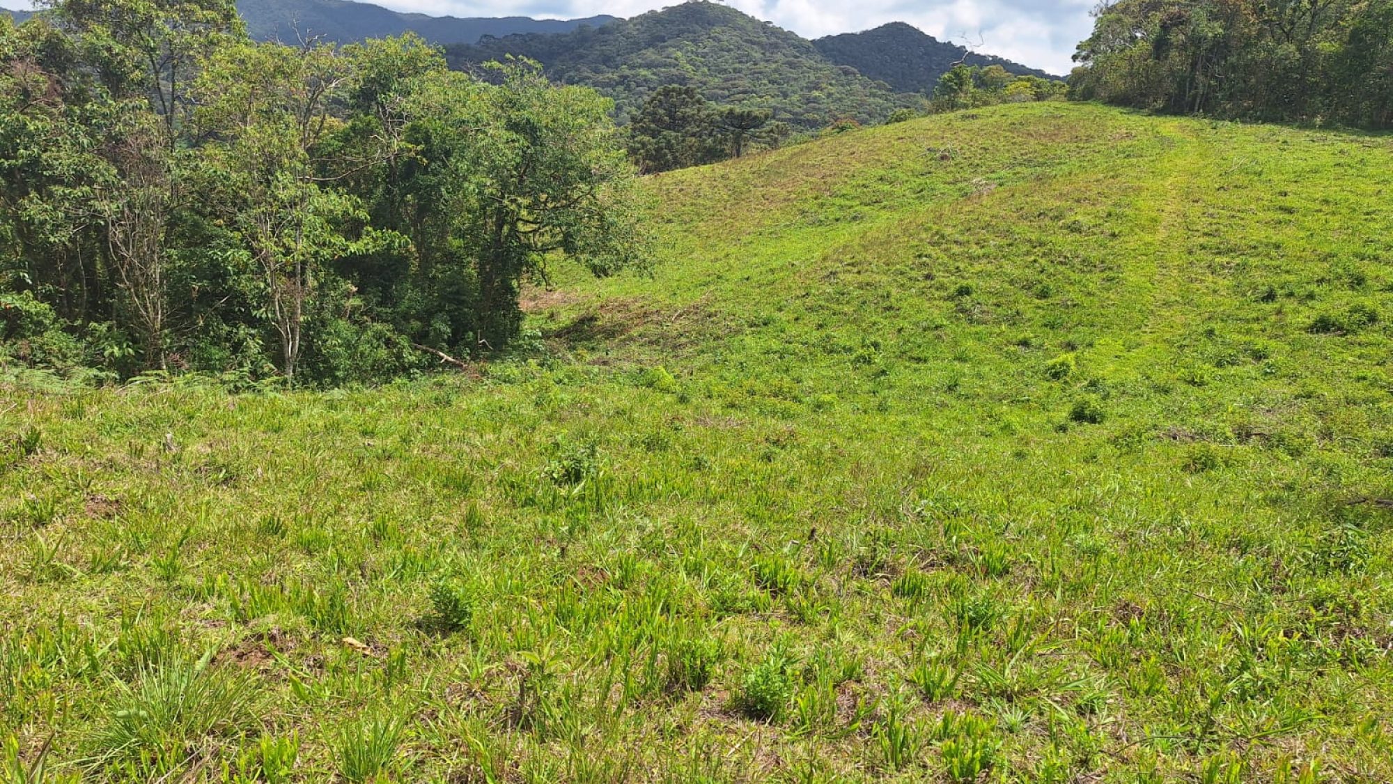 inbound4335664717249576294