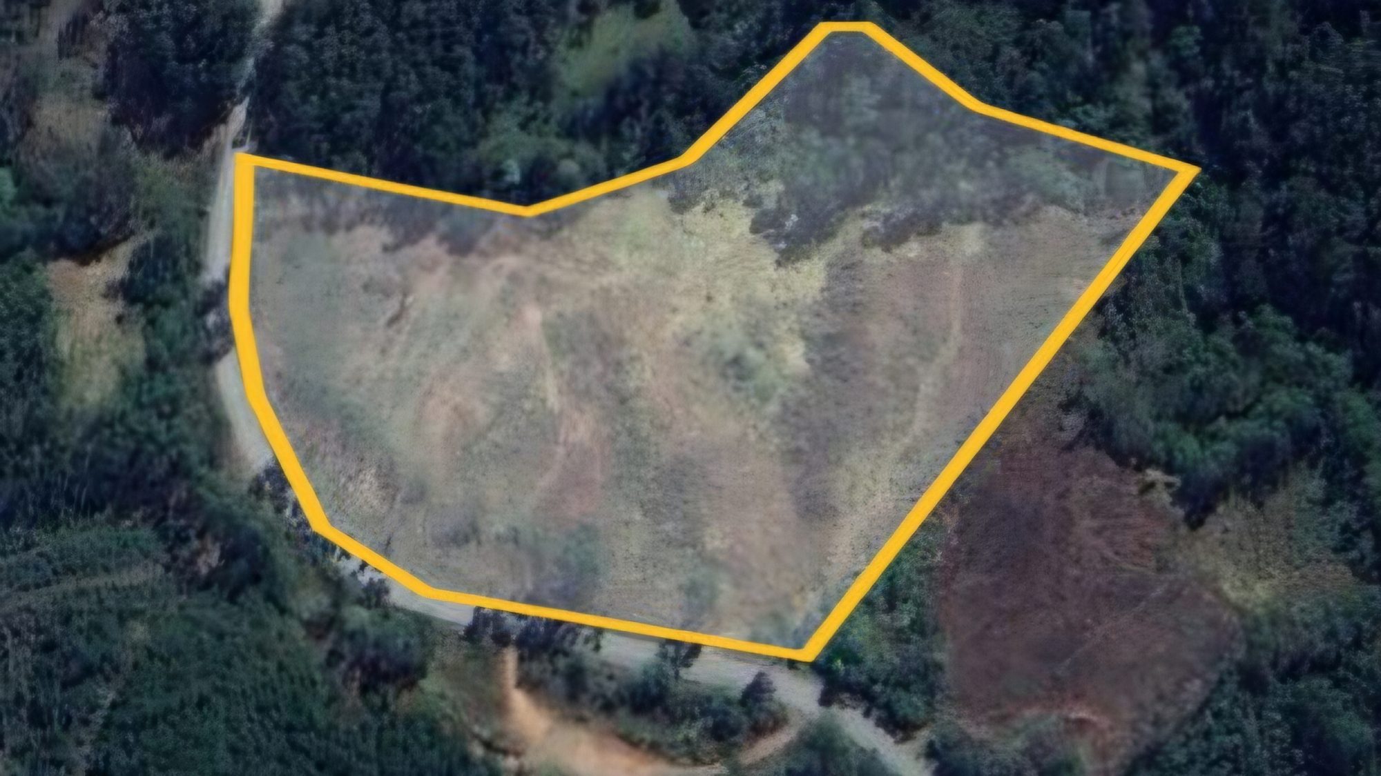 inbound4394199451802781013