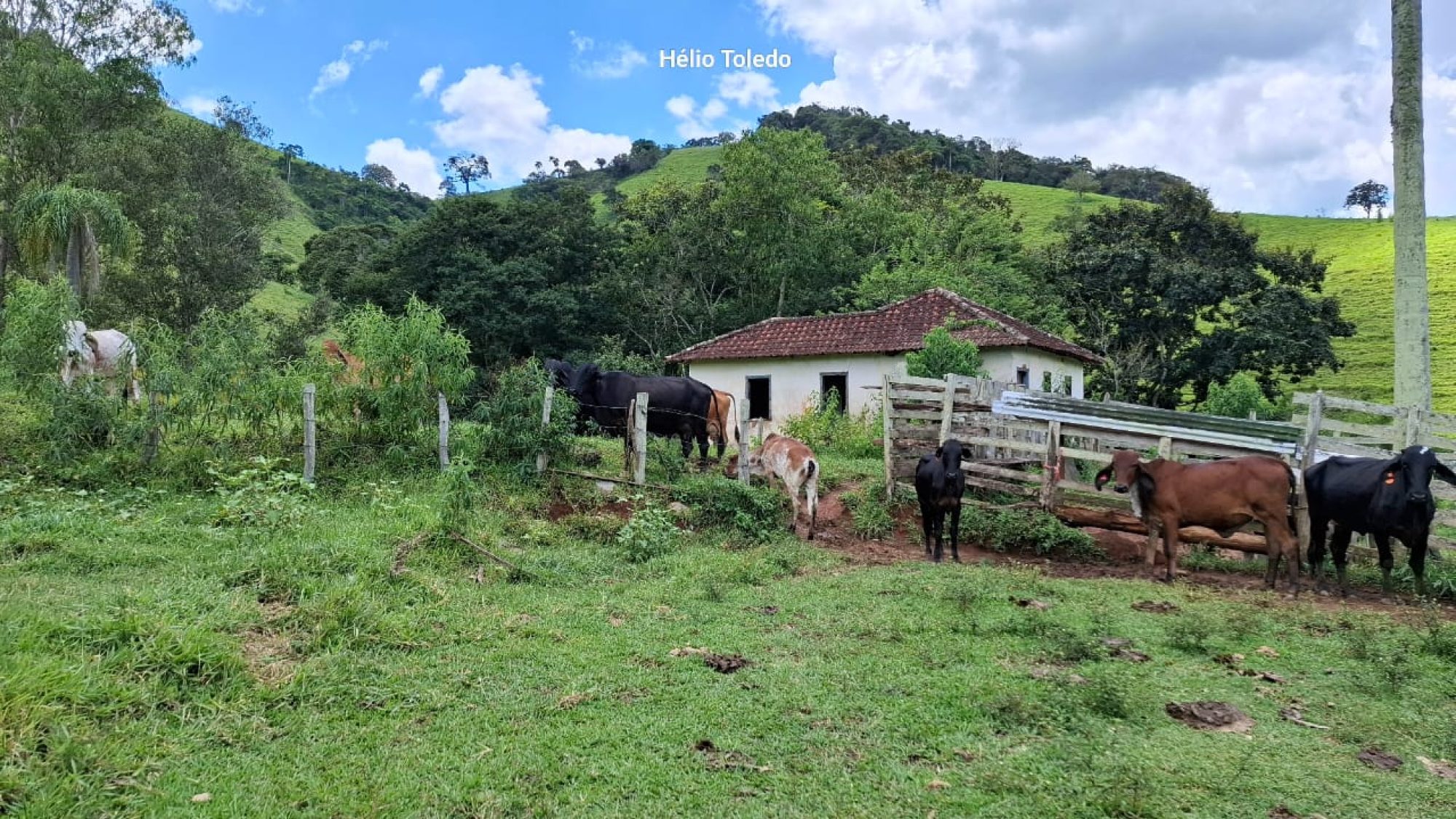 inbound4565538353565037143