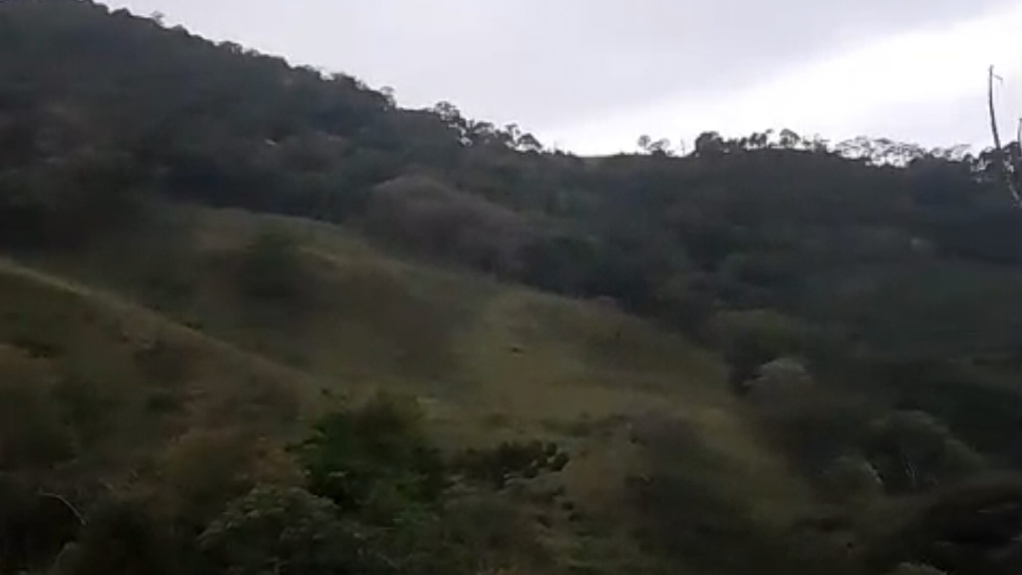 inbound4569305907571179541