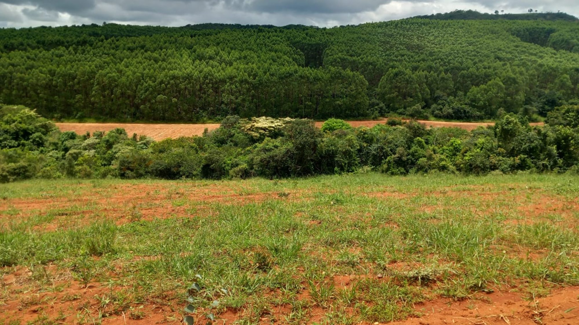 inbound4584104691393648176