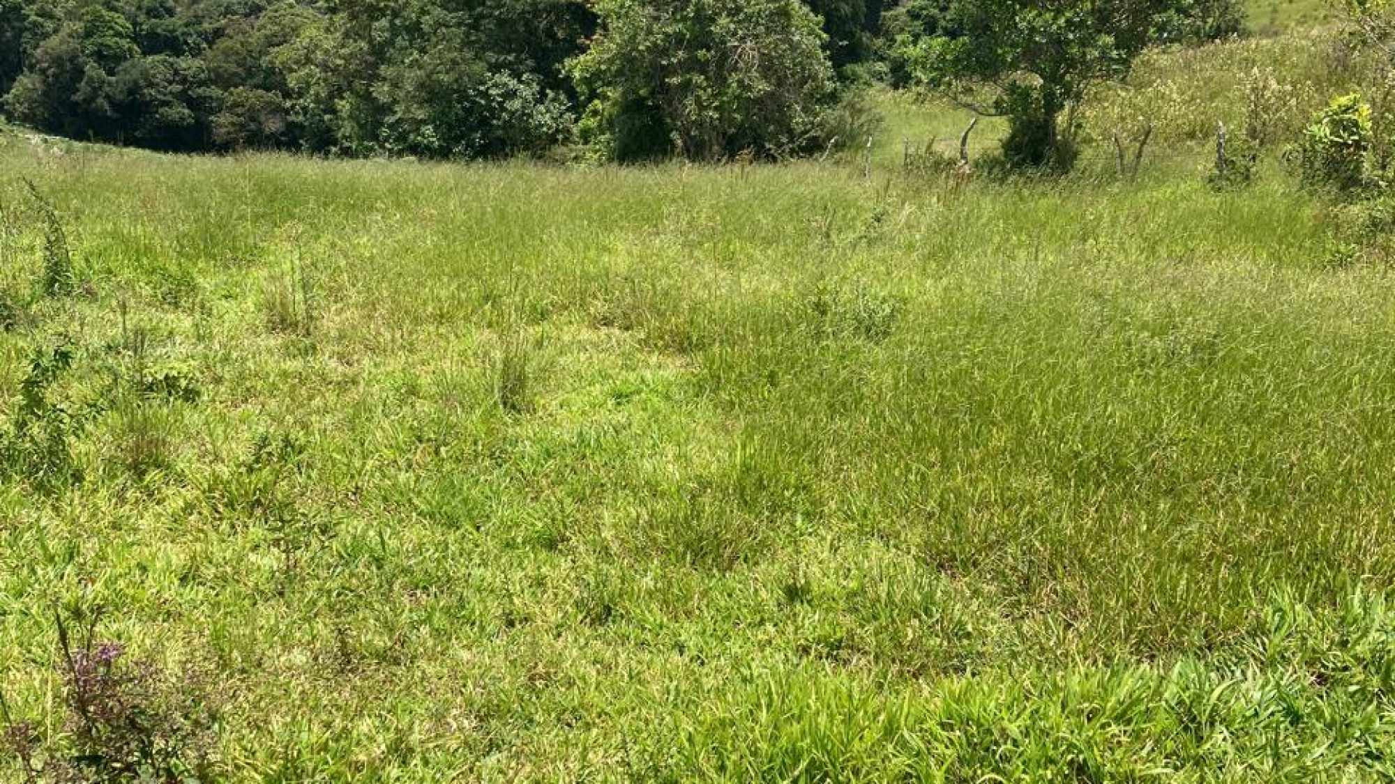 inbound4690051971699485489