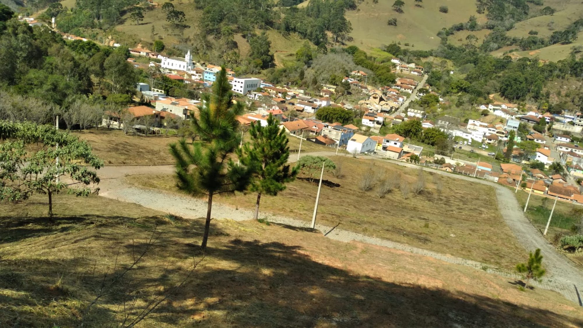 inbound4831253776892521590