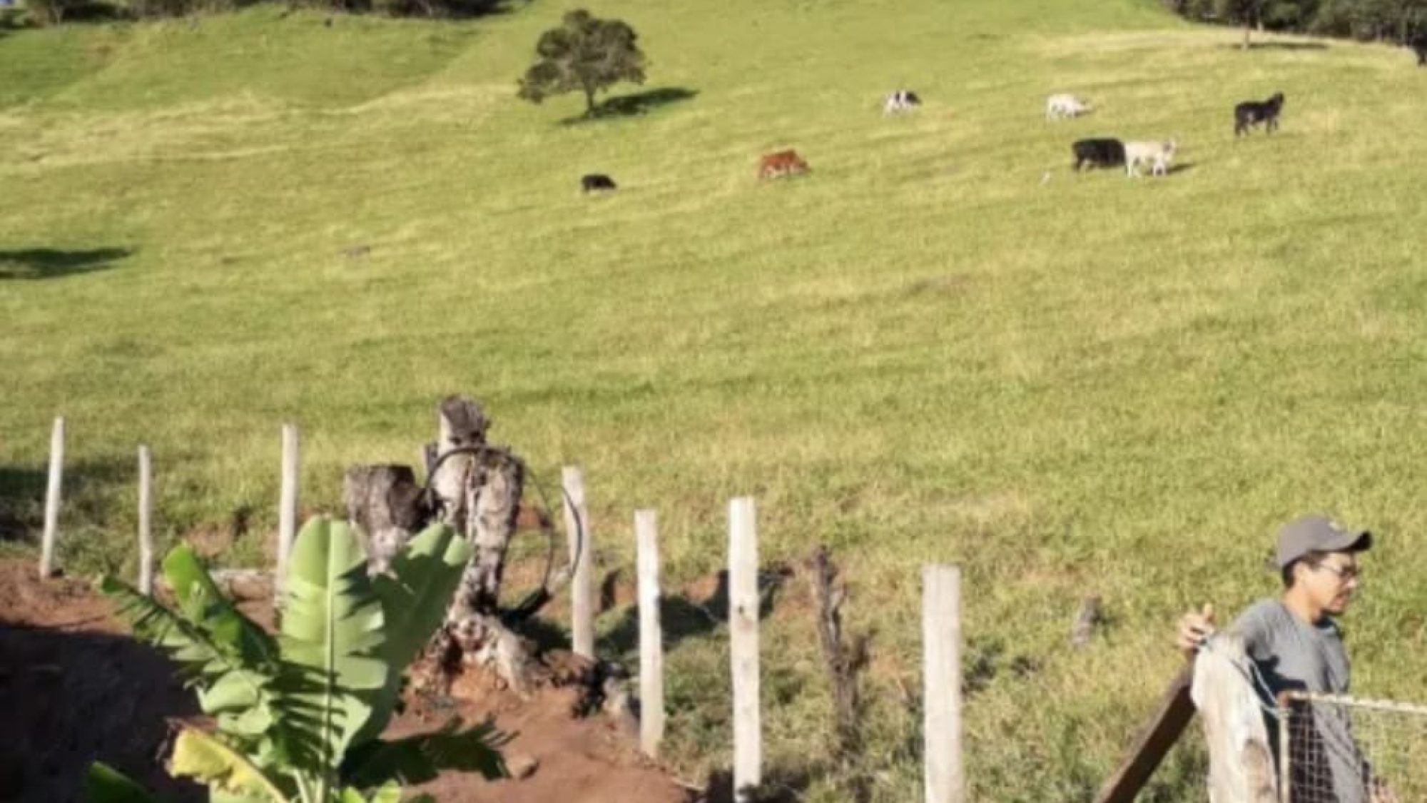 inbound5052668230125660468