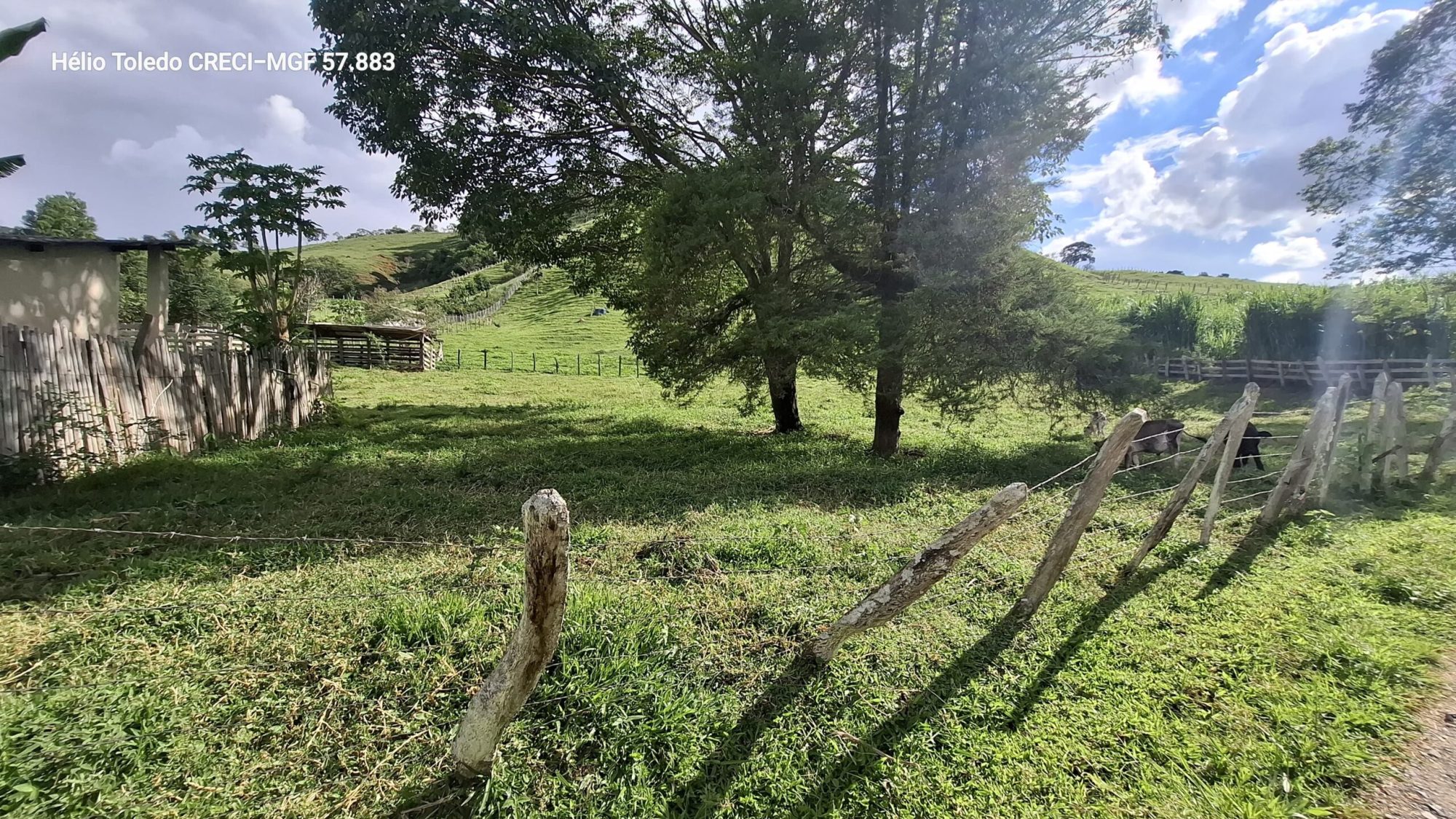 inbound5143624461726816779