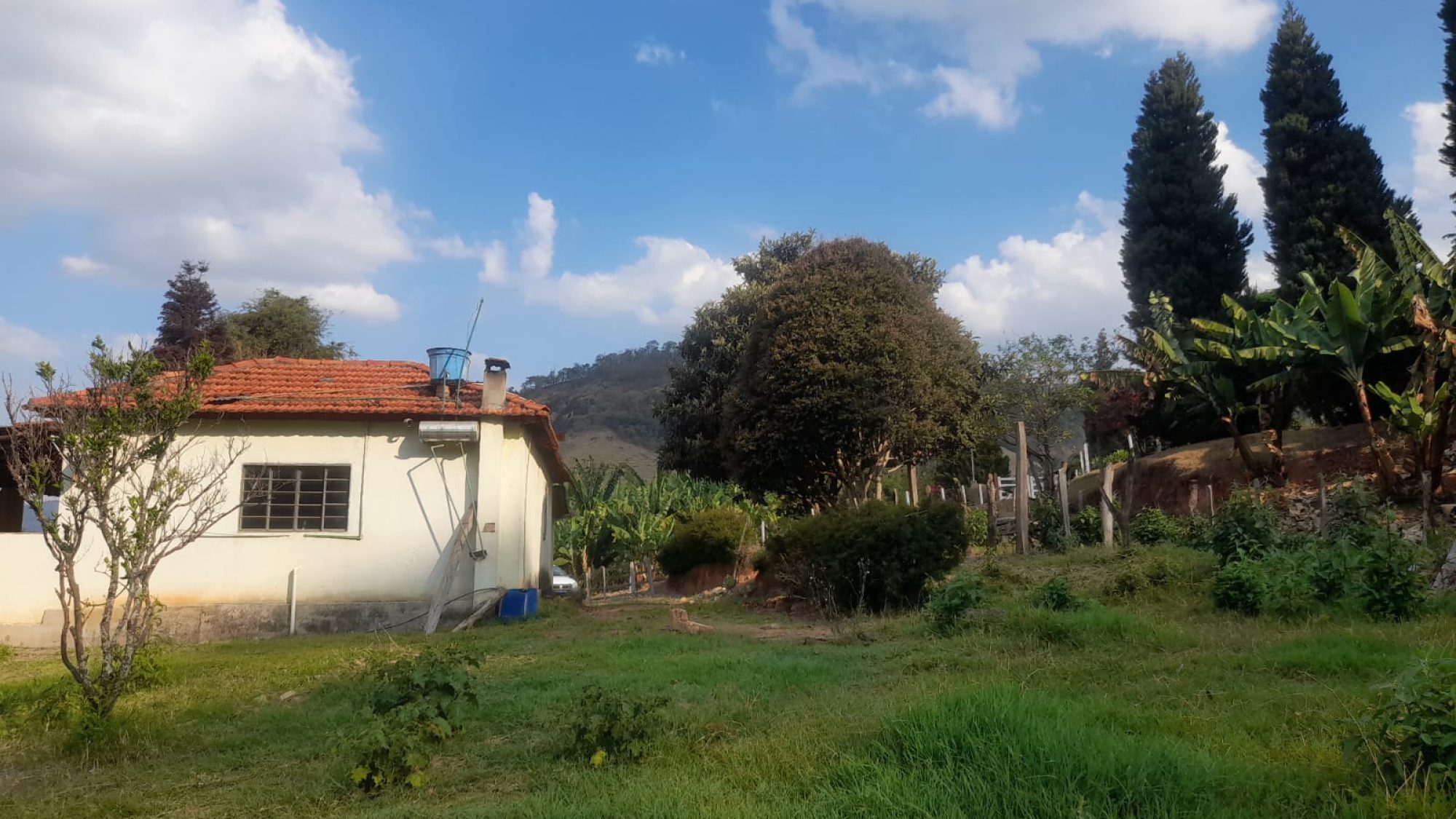 inbound5408189697953616986