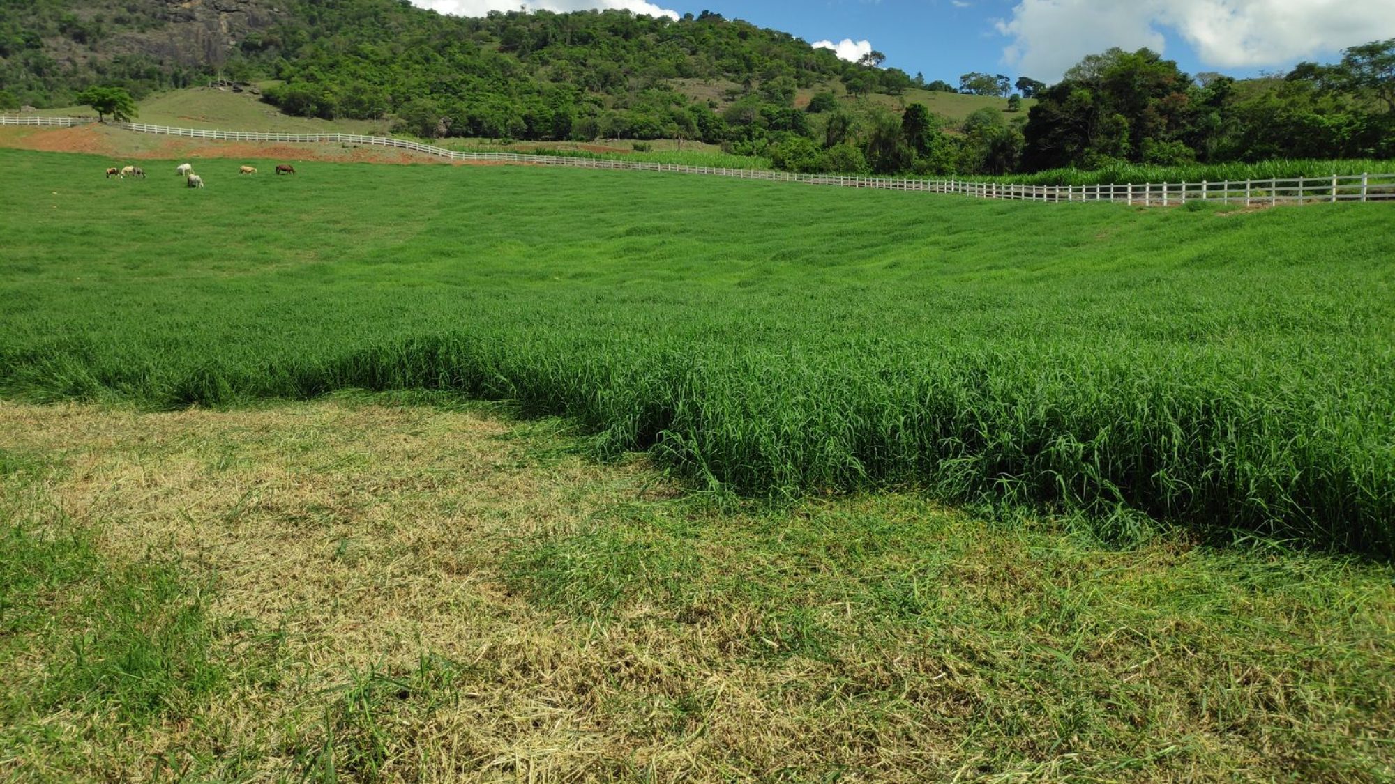 inbound5415761800789610534