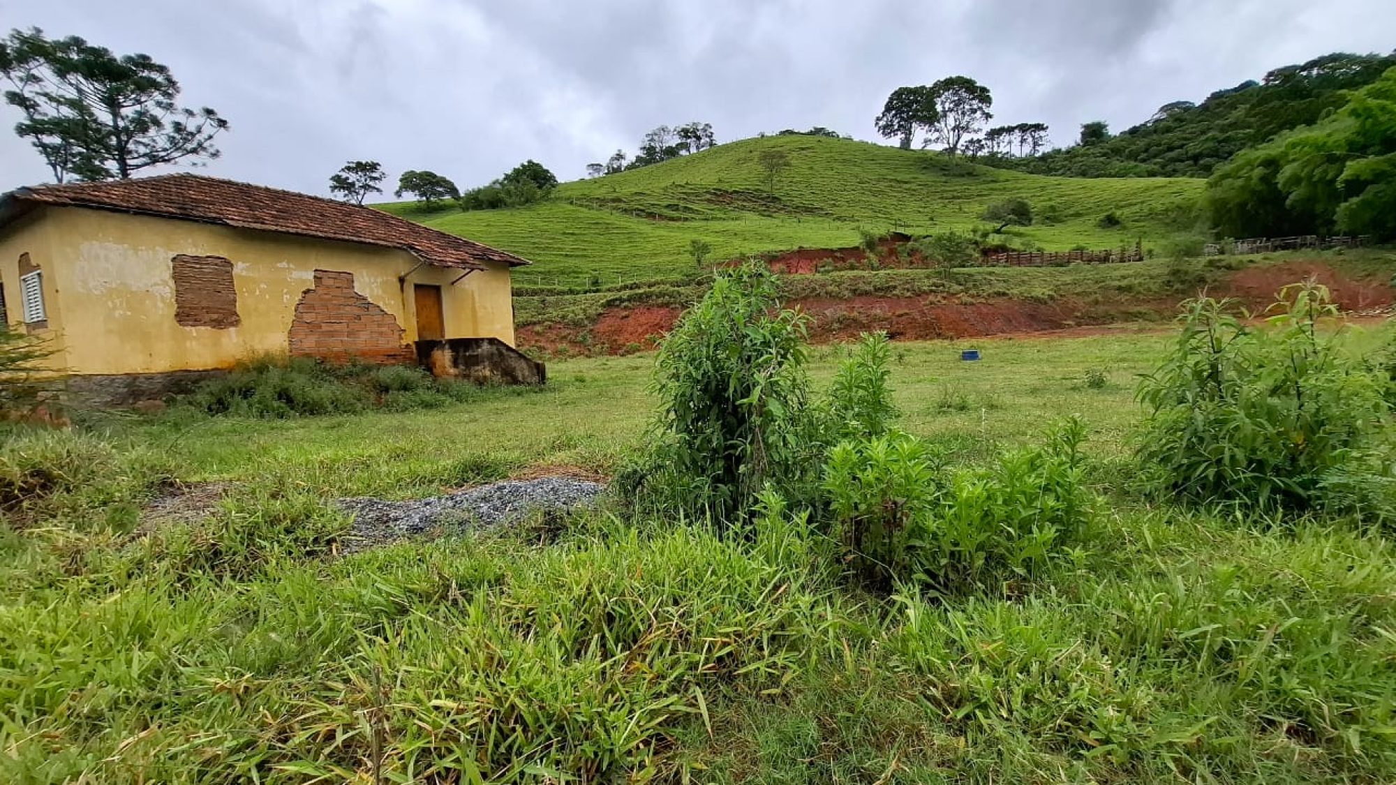 inbound5487477168230079451