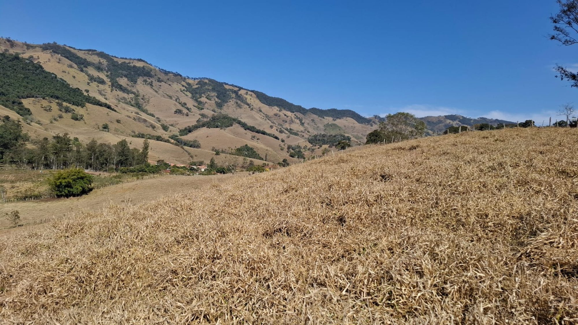 inbound5615796432134413097