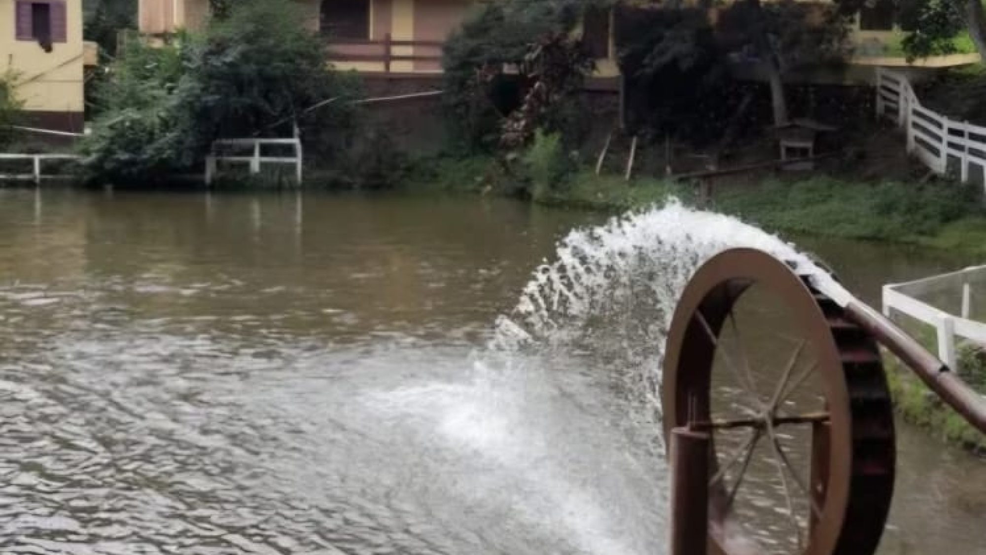 inbound570977214214075532