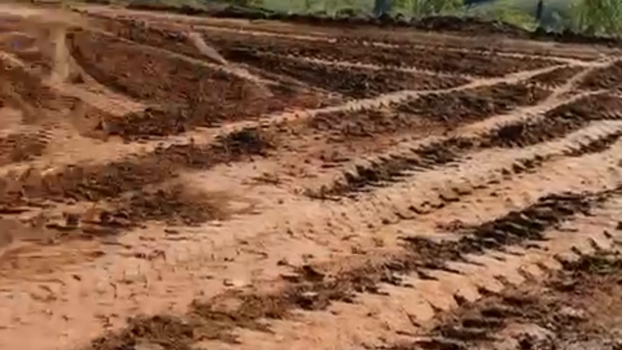 inbound6045676686085337593